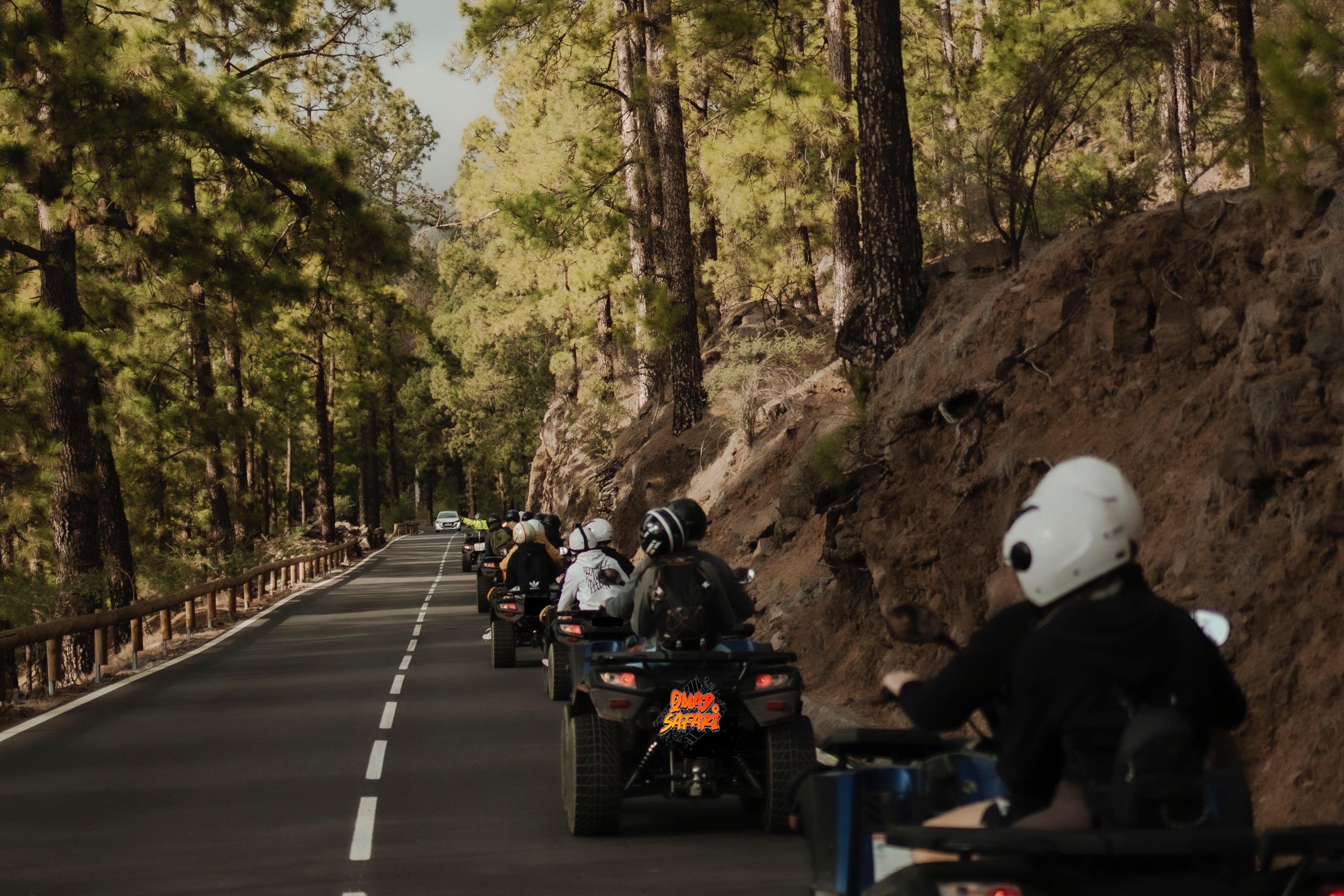 Teide National Park Quad Bike Excursion