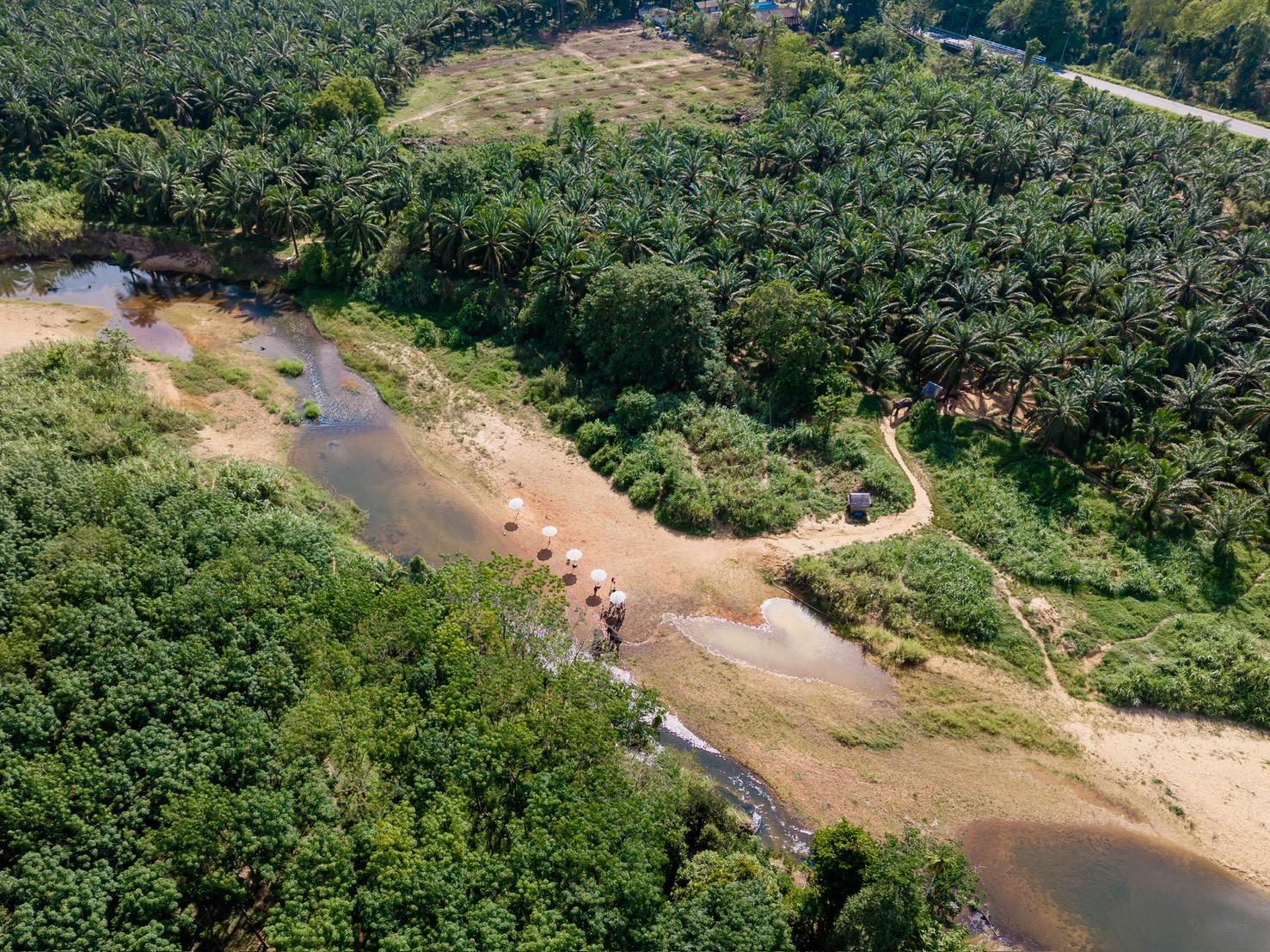 Khao Sok Elephant Rescue & Bamboo River Raft from Krabi