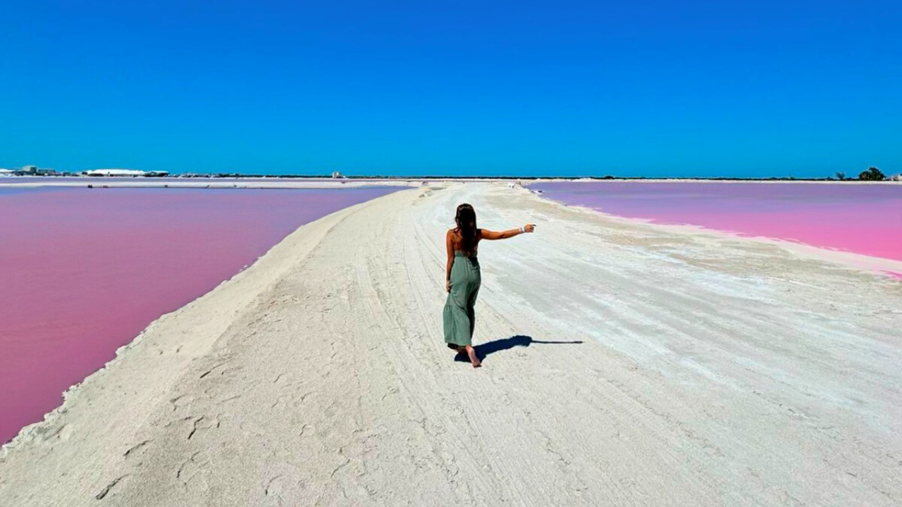Riviera Maya: Rio Lagartos & Las Coloradas Boat Tour with Lunch