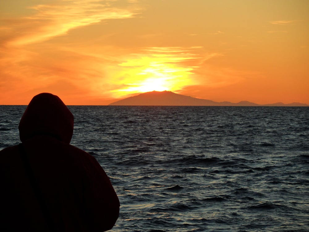 Midnight Sun Whale Watching Adventure