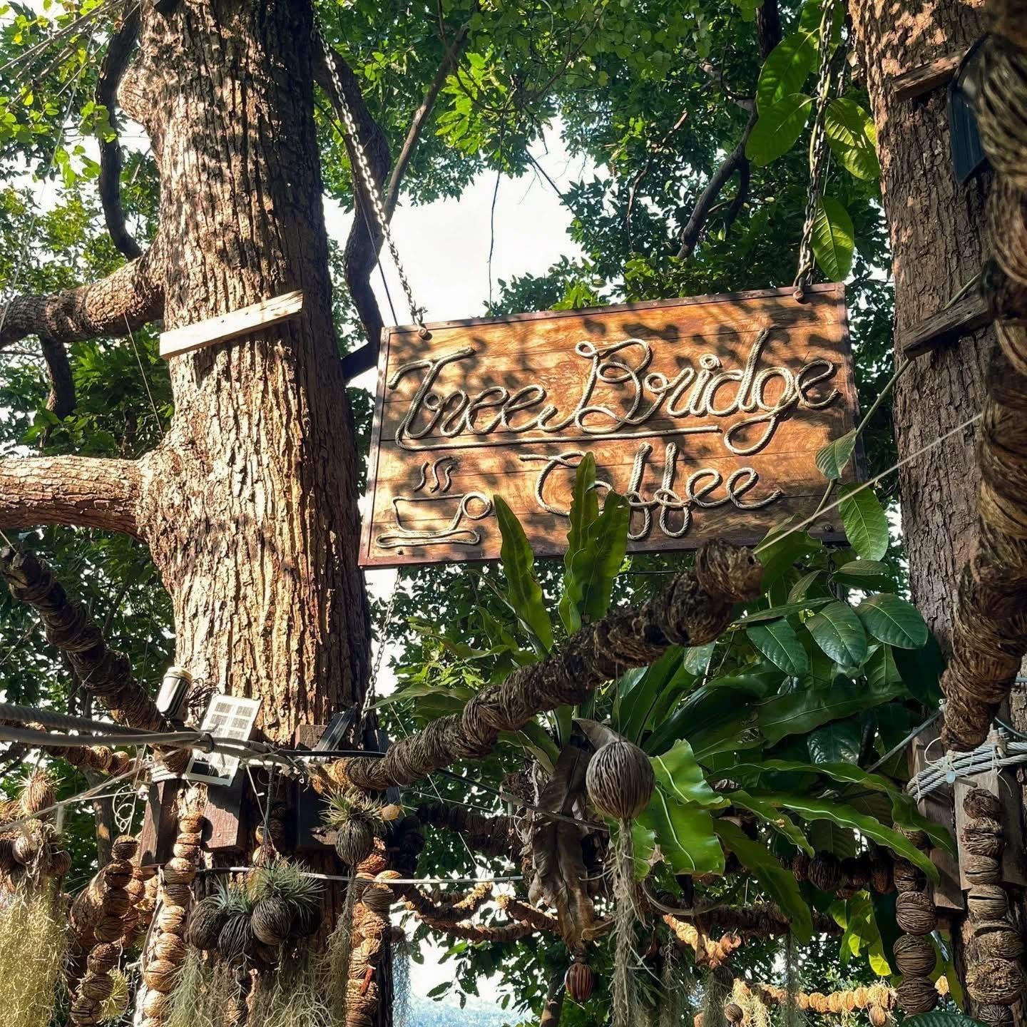 Samui Zipline Adventure: Jungle Canopy, Waterfall & Cafe