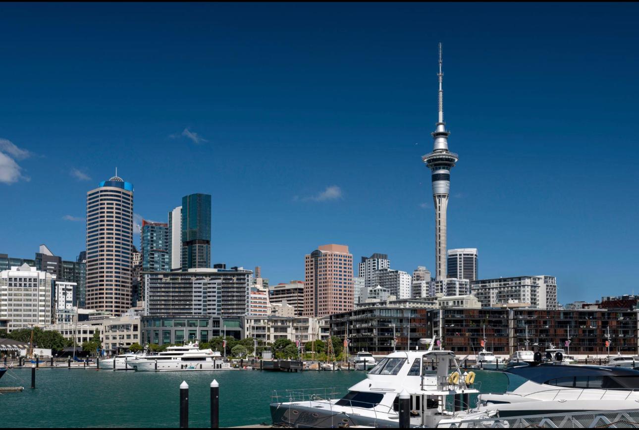 Auckland Half-Day Highlights Tour