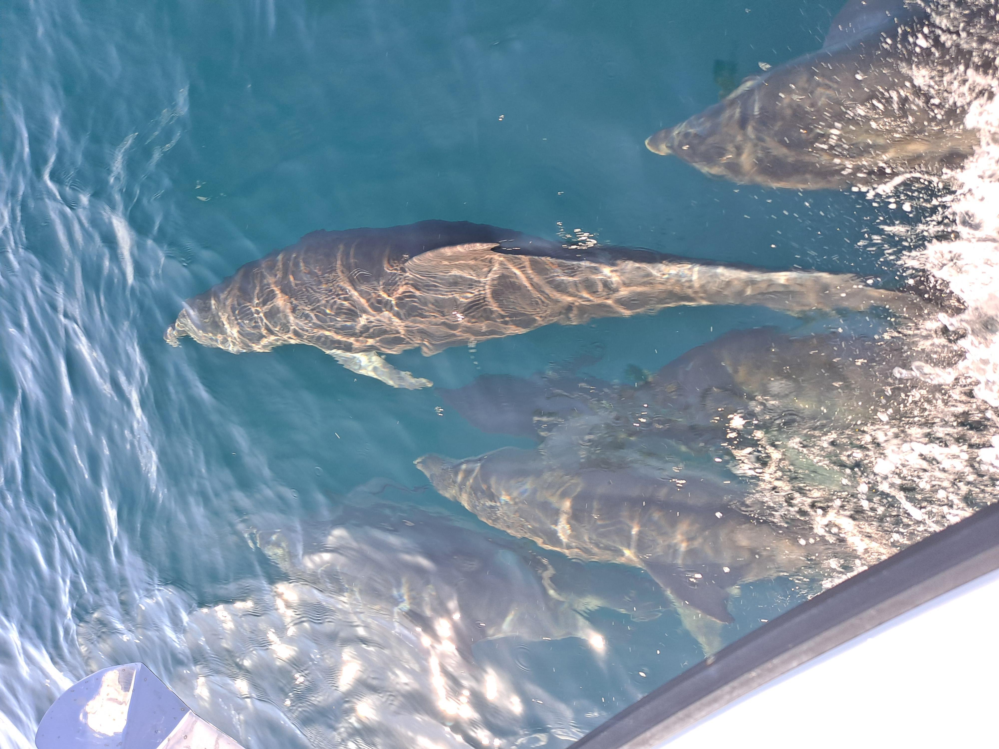 Private Captained Yacht Adventure in Pensacola