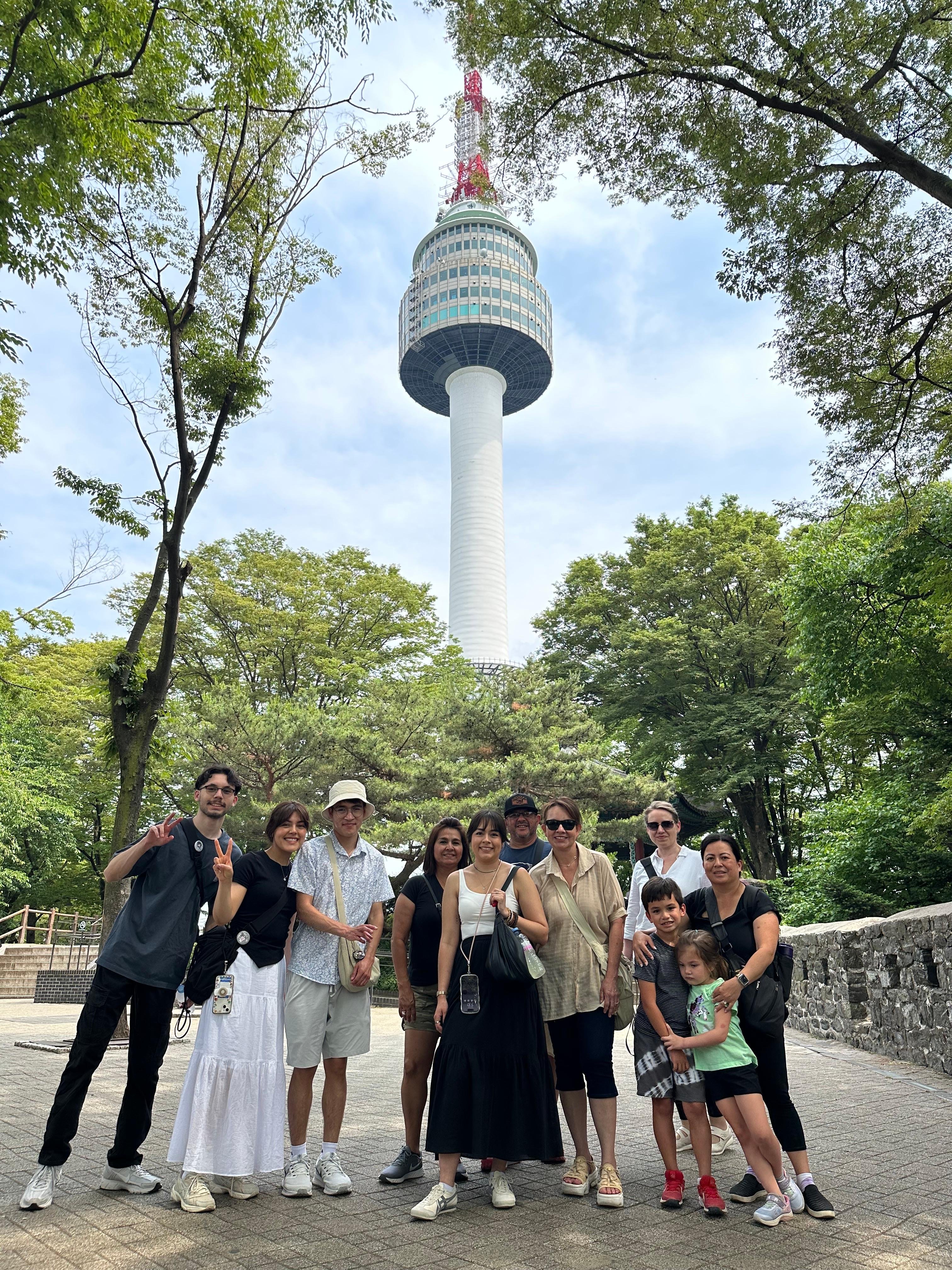 Seoul Highlights: Palaces, Markets & N Seoul Tower