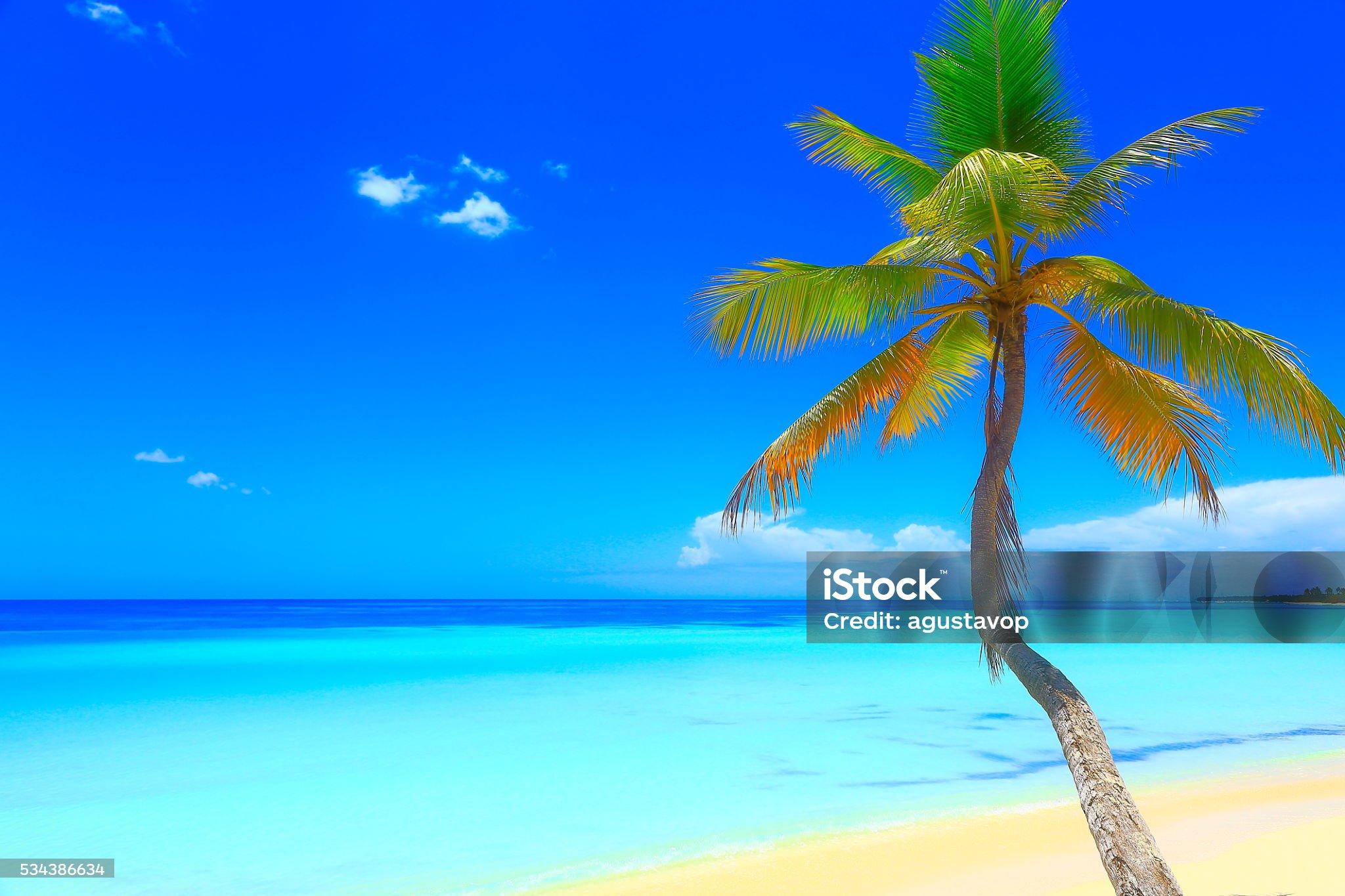 Saona Island Catamaran Day Trip from Punta Cana with Lunch & Open Bar