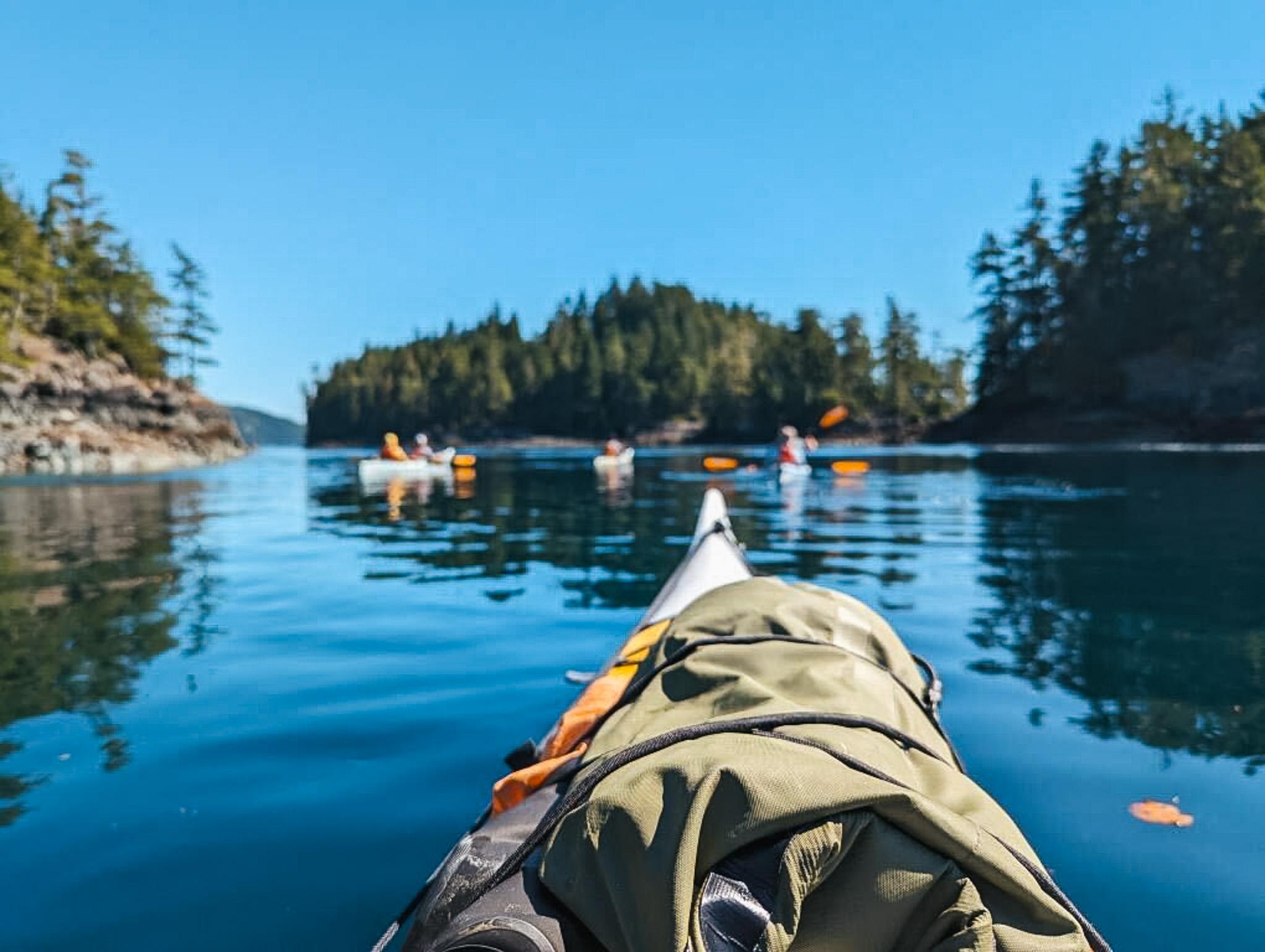 Johnstone Strait Sea Kayaking Adventure