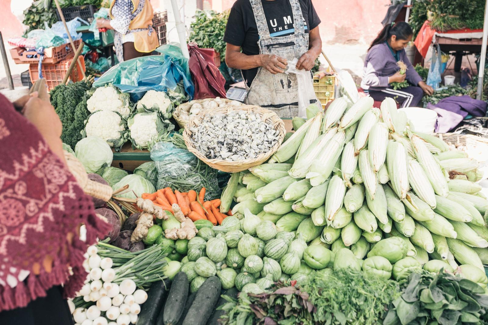 Xochimilco Culinary Journey: Markets, Floating Gardens, and Axolotls