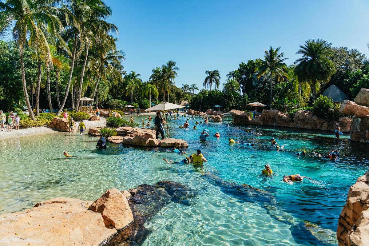 Orlando: Discovery Cove Admission Ticket and Additional Parks