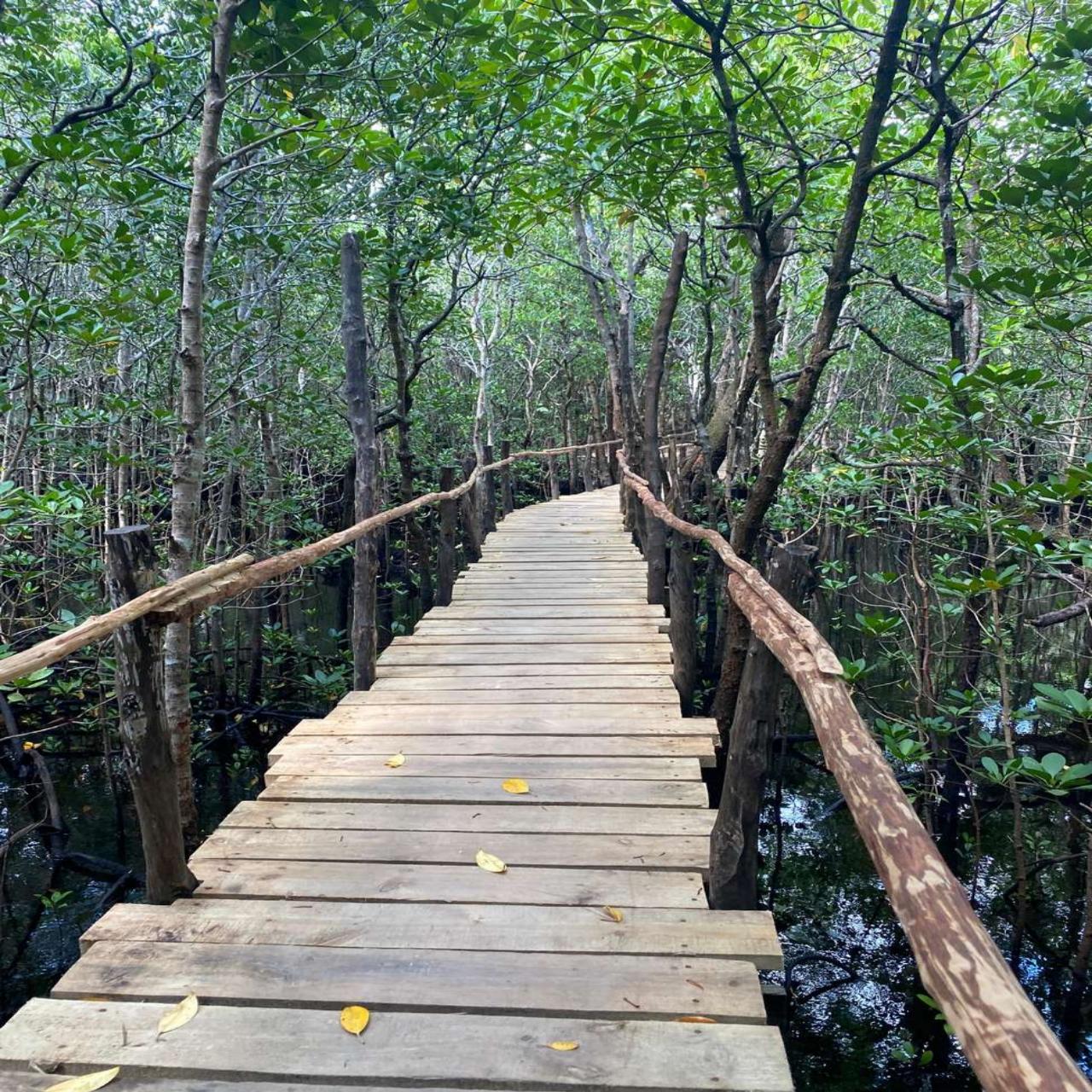 Zanzibar Jozani Forest & The Rock Restaurant Day Tour