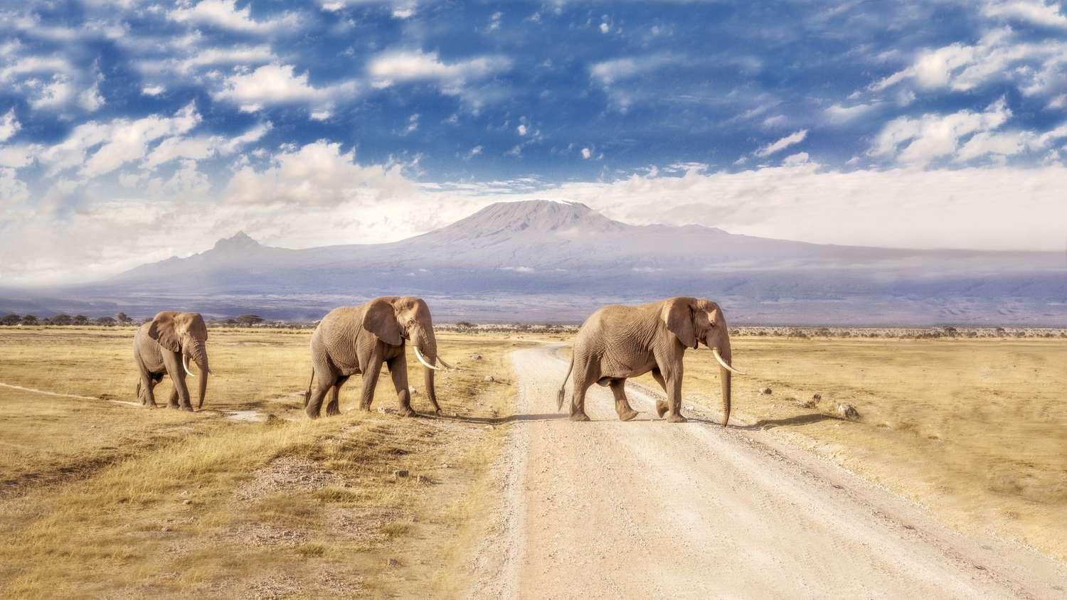 5-Day Private Kenya Safari: Maasai Mara, Nakuru & Naivasha