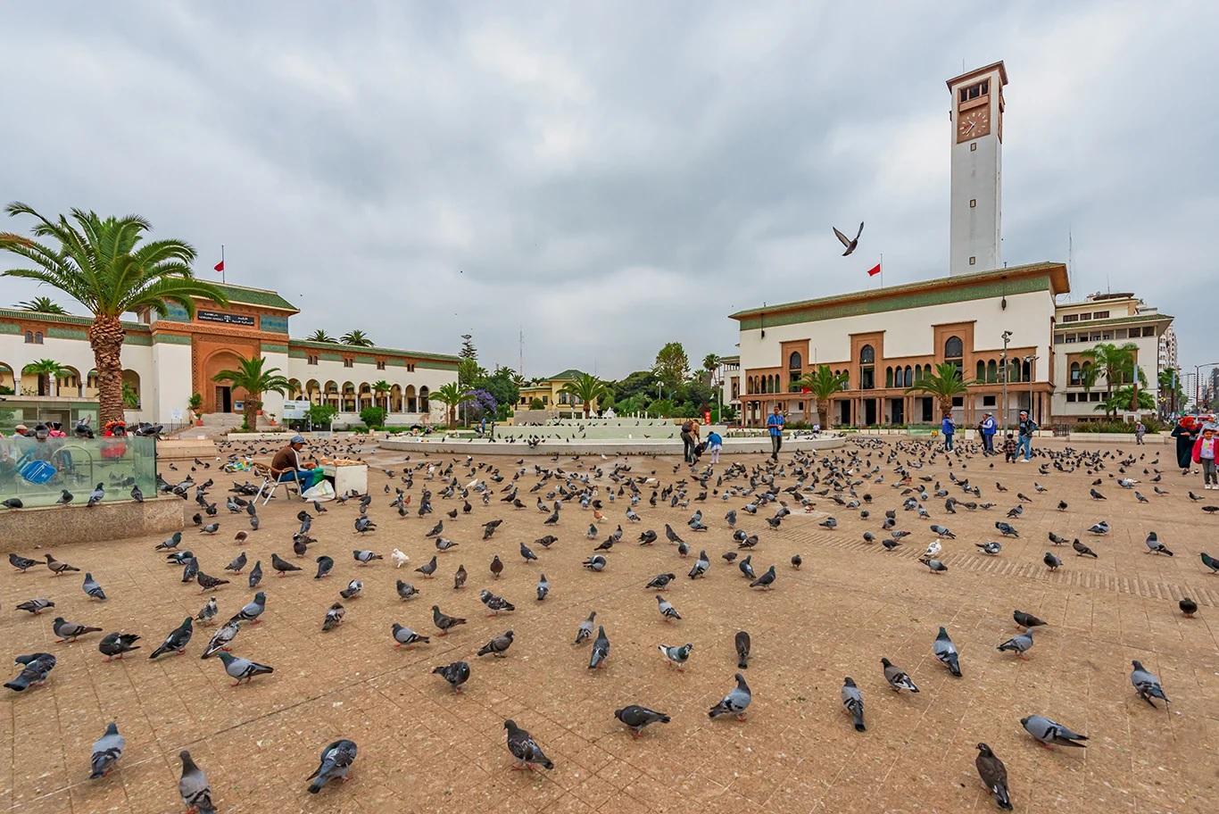 Full-Day Casablanca Cultural Tour from Marrakech