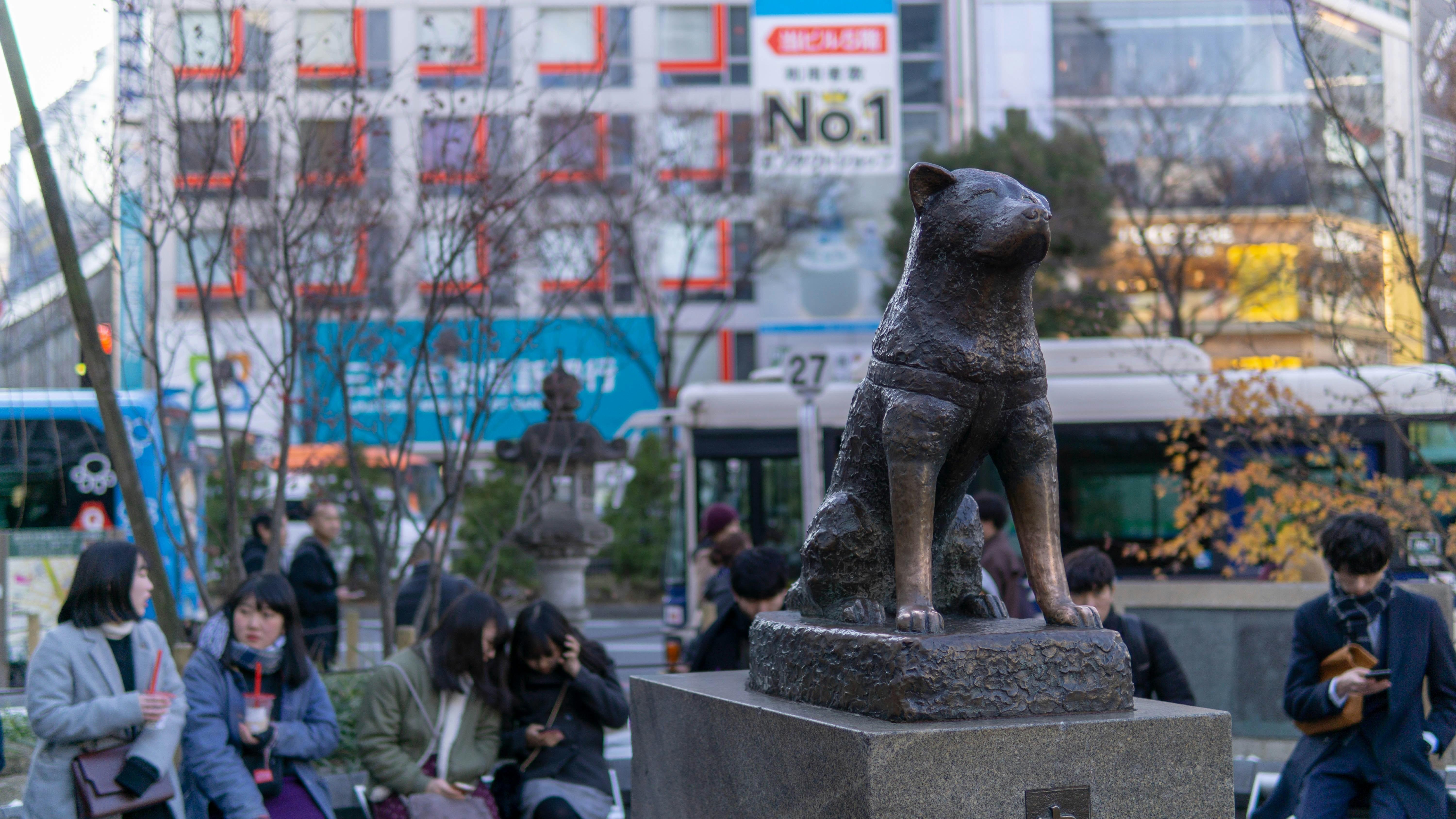Shibuya Essentials: Hachiko, Sky & Street Culture Walking Tour
