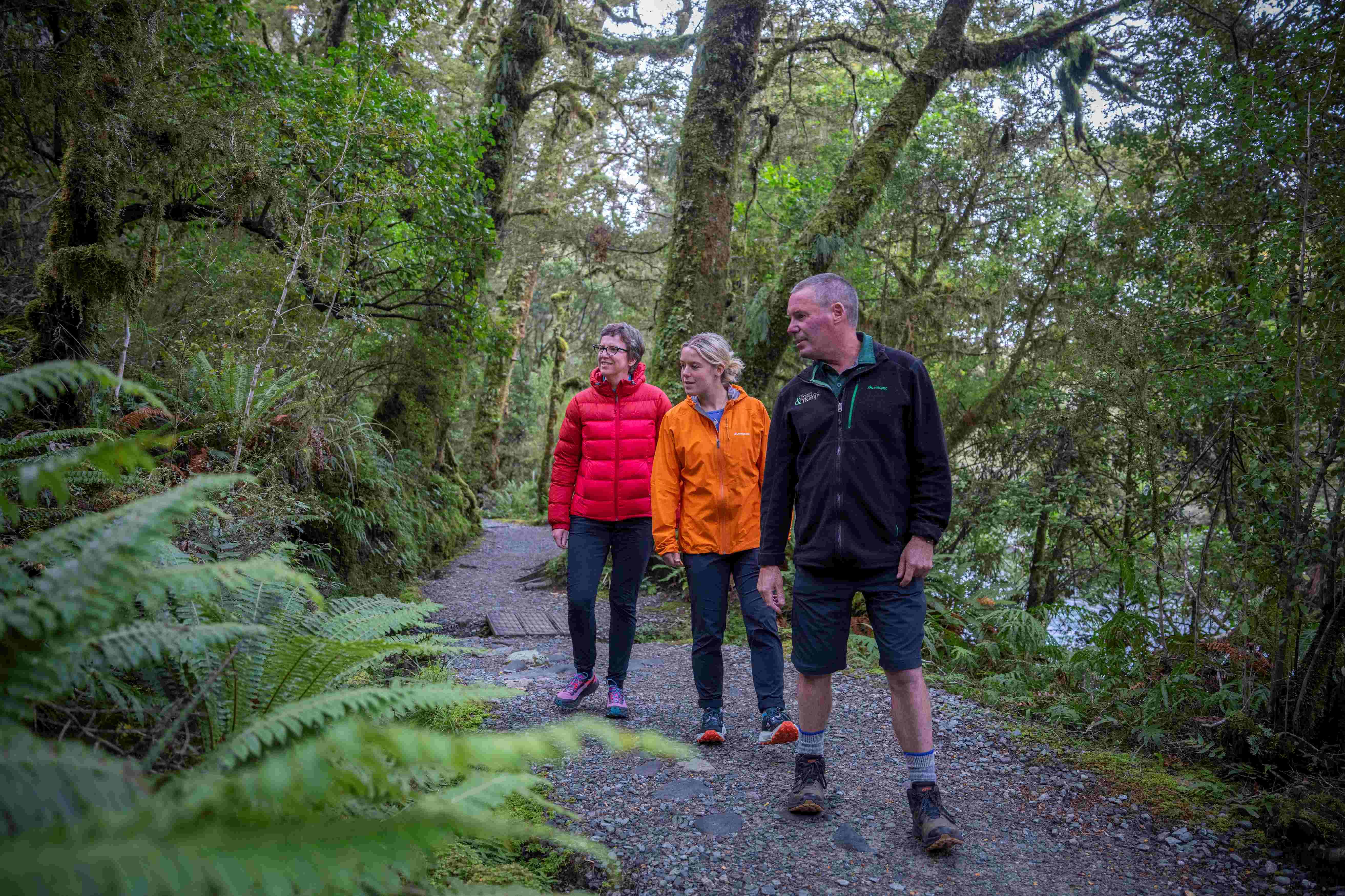 Milford Sound tour photo — image 5