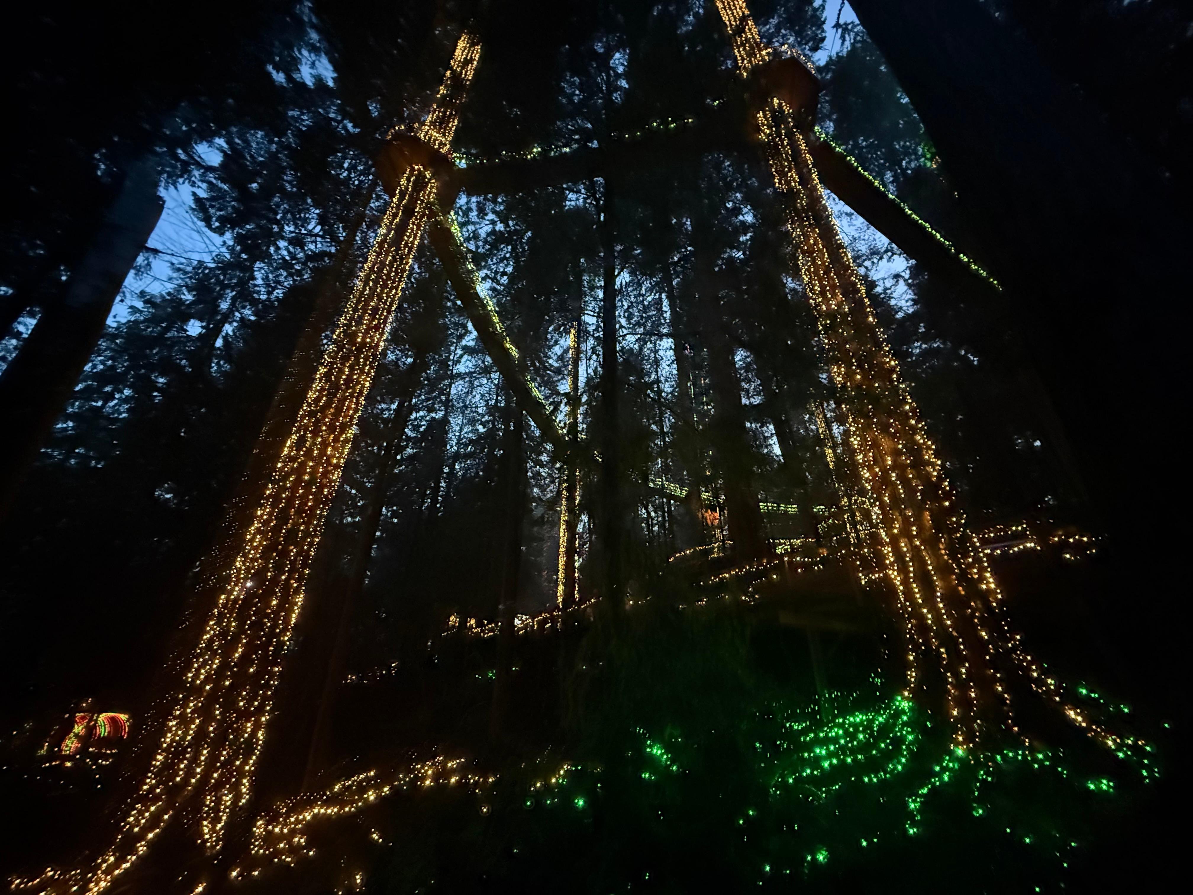 Capilano Suspension Bridge & Stanley Park Small Group Tour