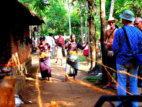 Cochin Backwater Village Eco-Boat Tour