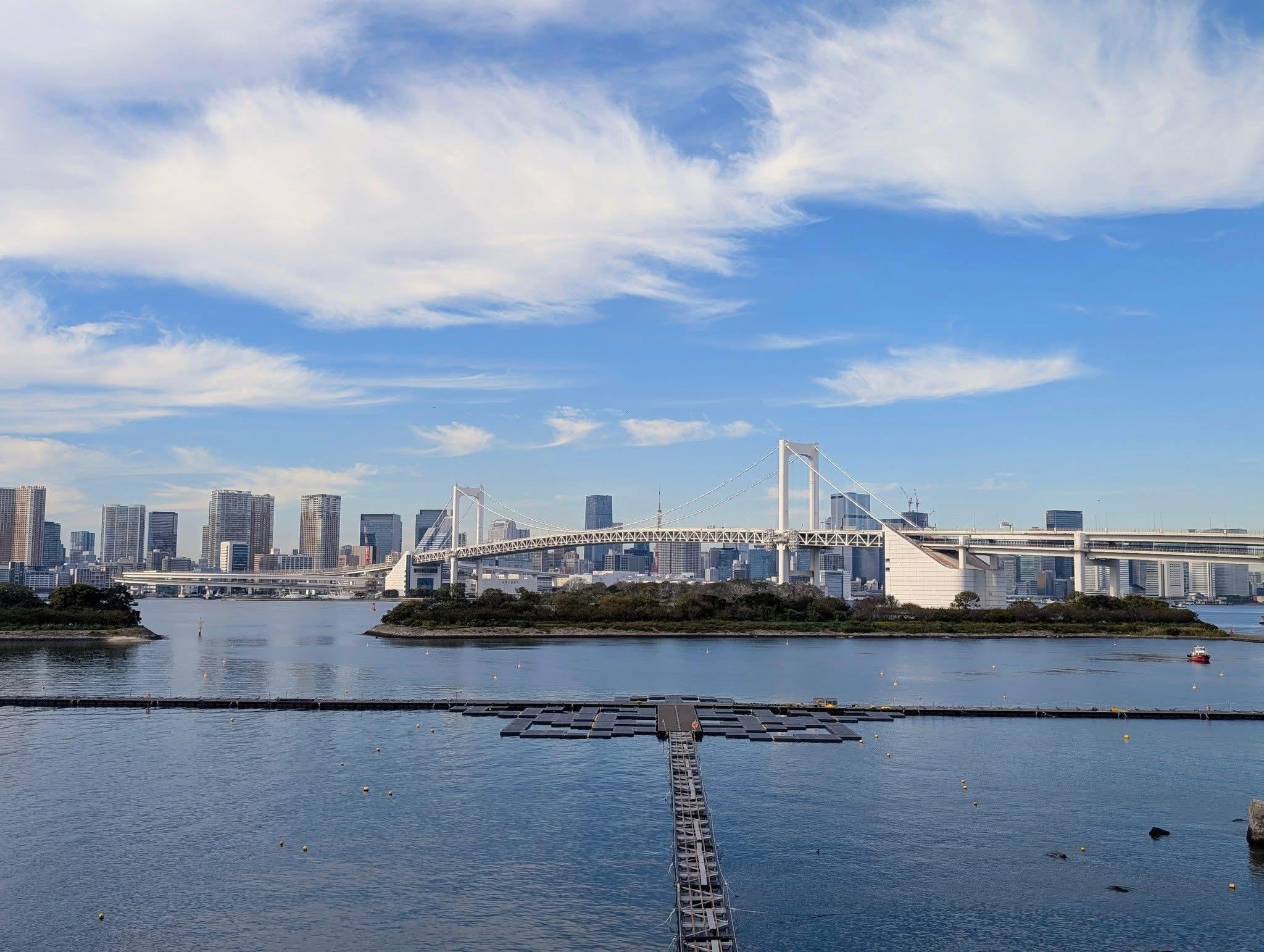 Tokyo Private Full-Day City Tour — Custom Itinerary with English Guide