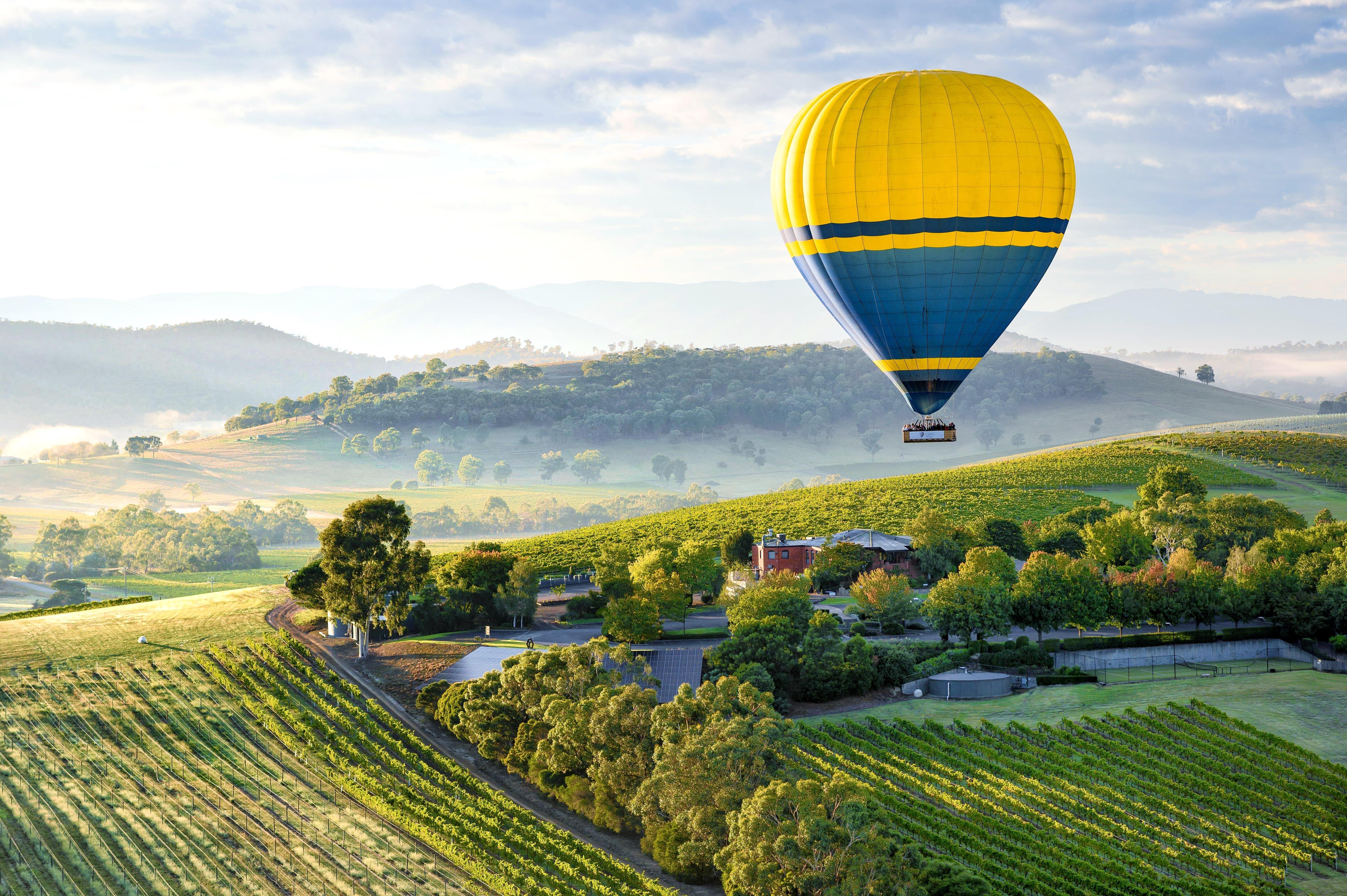 Yarra Valley Sunrise Hot Air Balloon with Breakfast