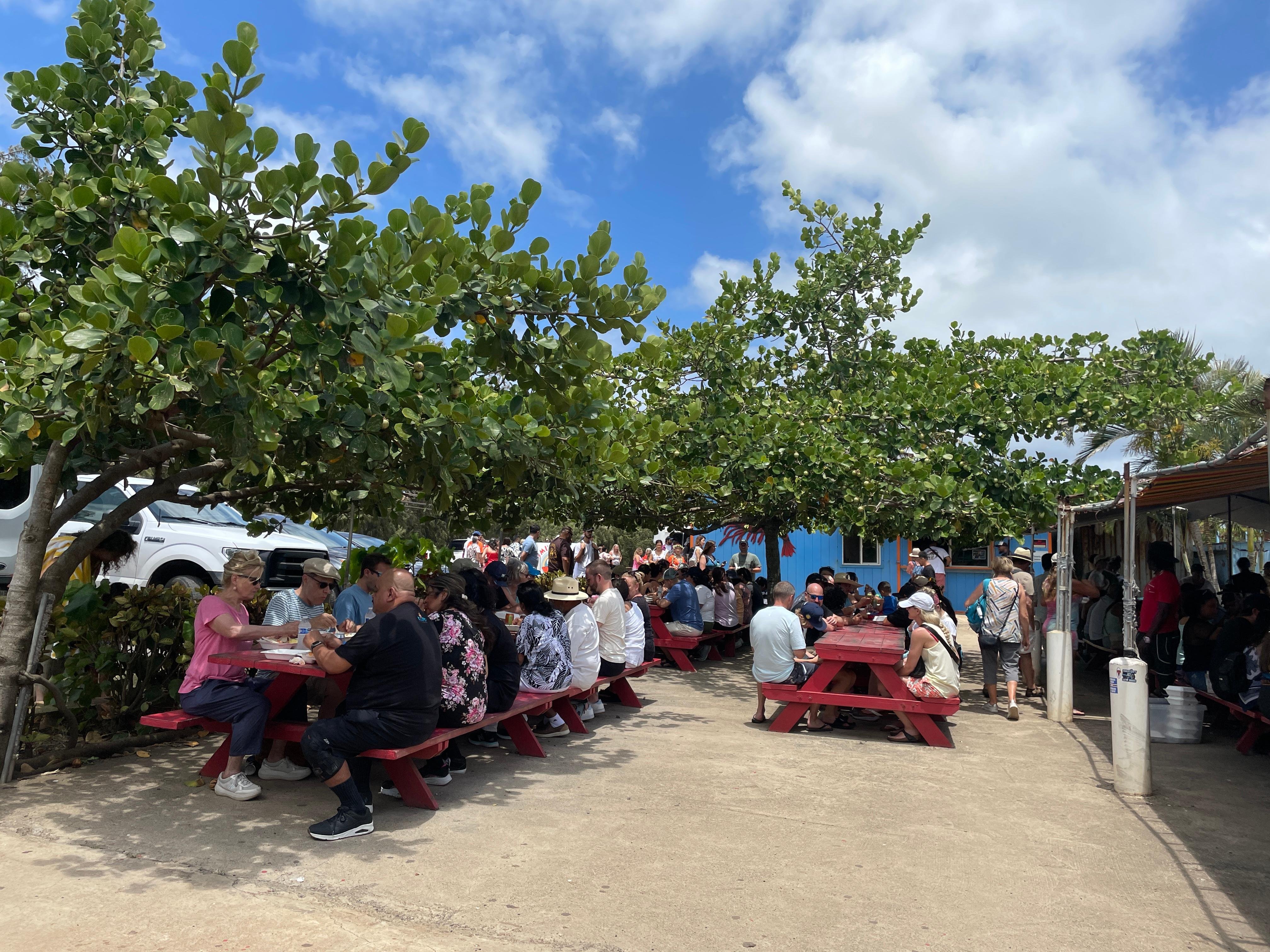 Oahu Full-Day Island Highlights Tour with Lunch