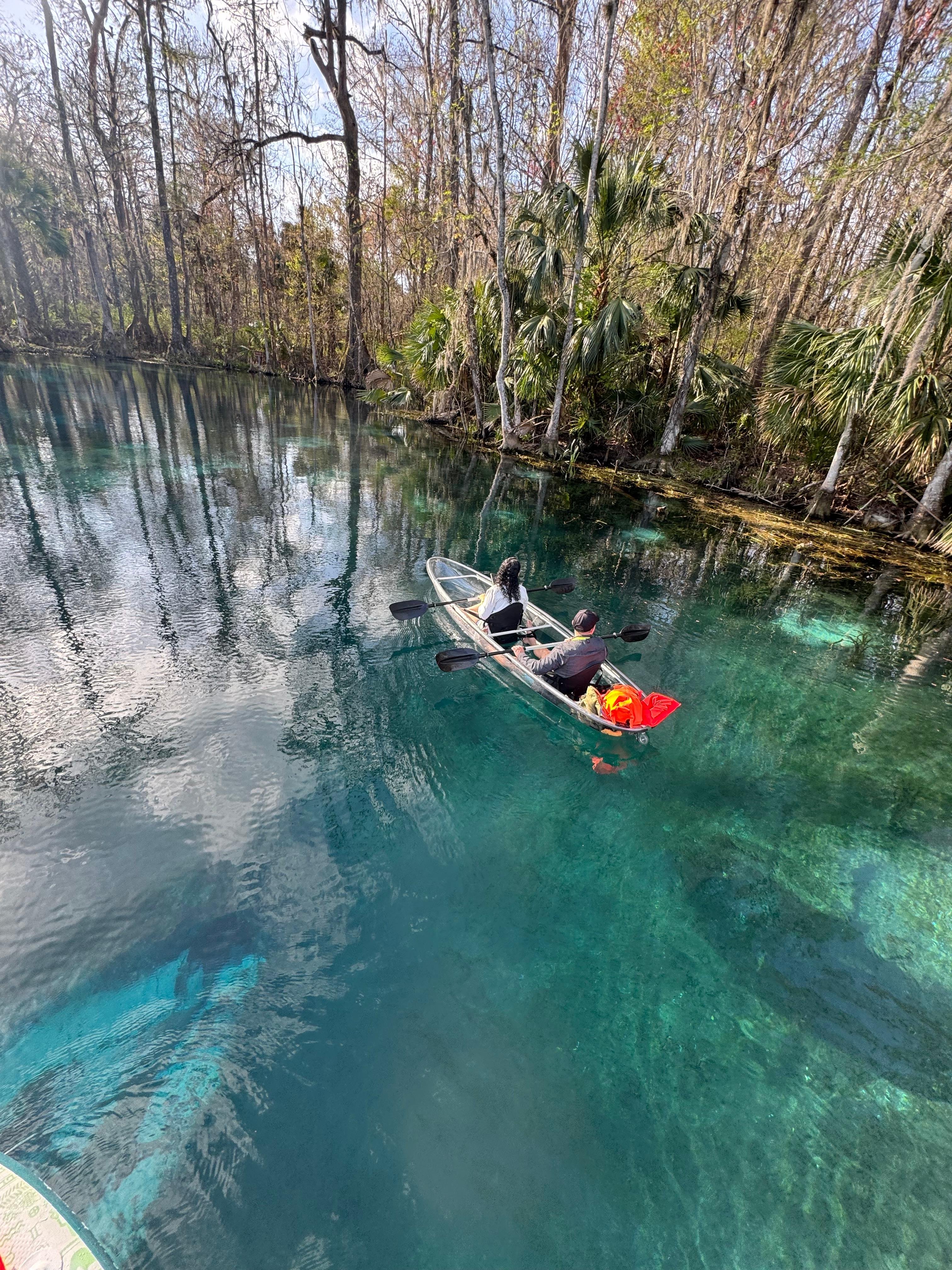 Silver River Clear Kayak Wildlife Tour