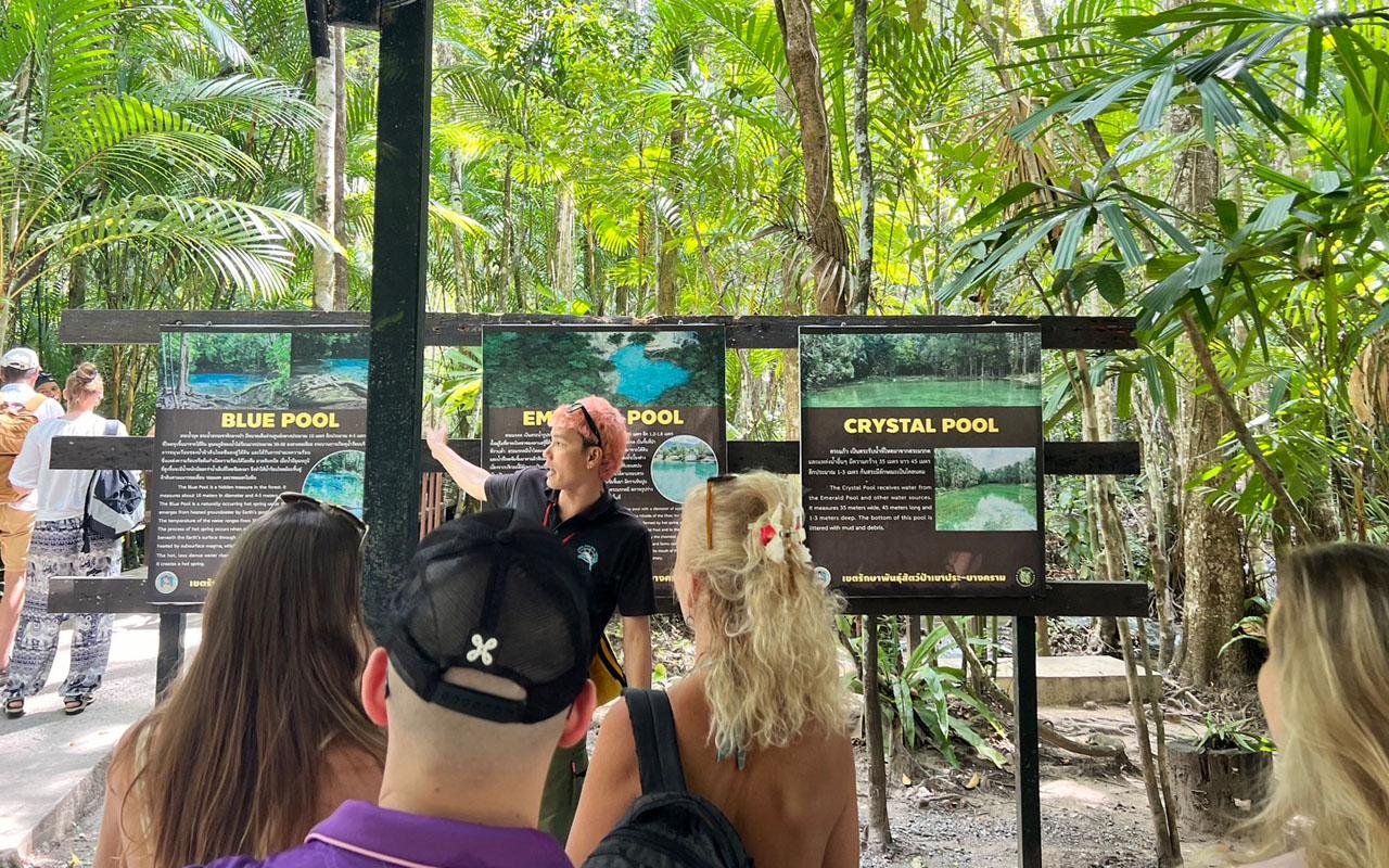 Krabi Jungle Day Tour: Hot Springs, Emerald Pool & Tiger Cave Temple