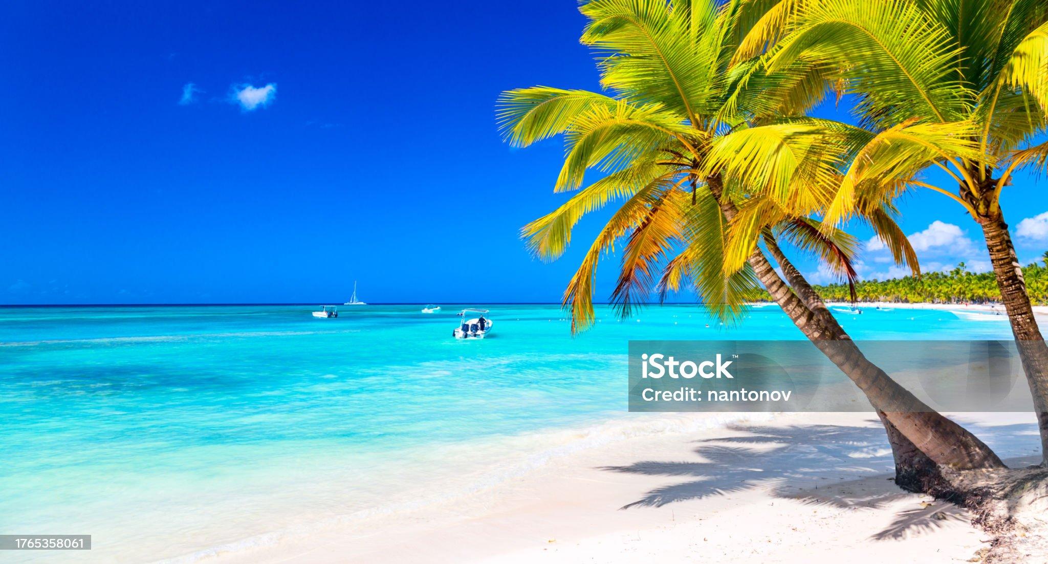 Saona Island Catamaran Day Trip from Punta Cana with Lunch & Open Bar