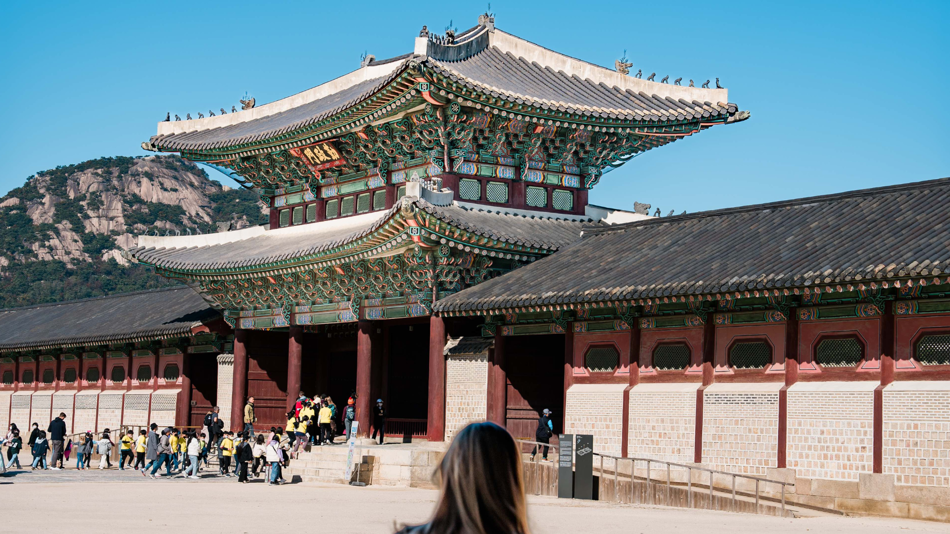 Private 10-Hour Seoul Charter with Dedicated Driver