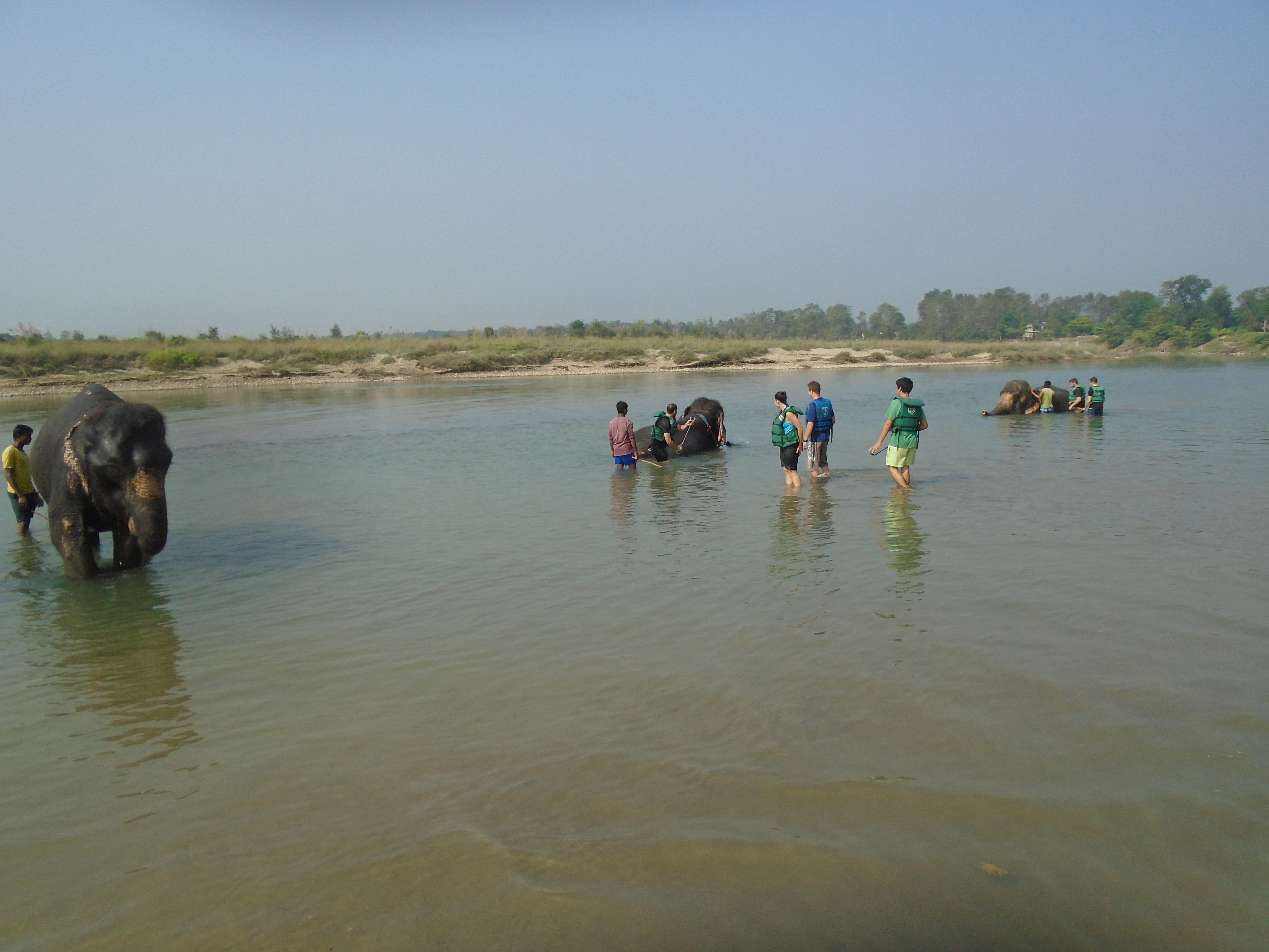 3-Day Luxury Chitwan National Park Jungle Safari