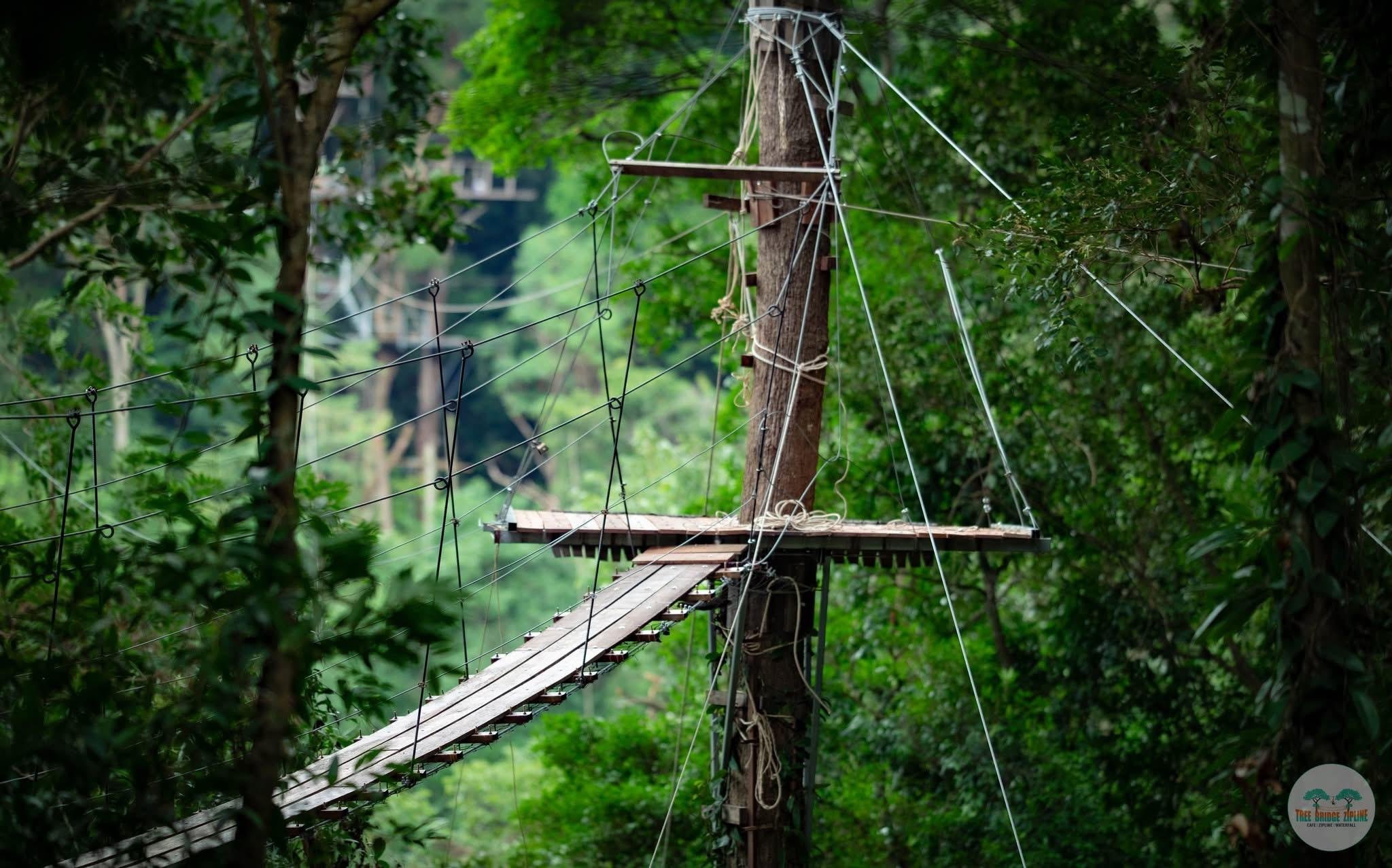Samui Zipline Adventure: Jungle Canopy, Waterfall & Cafe