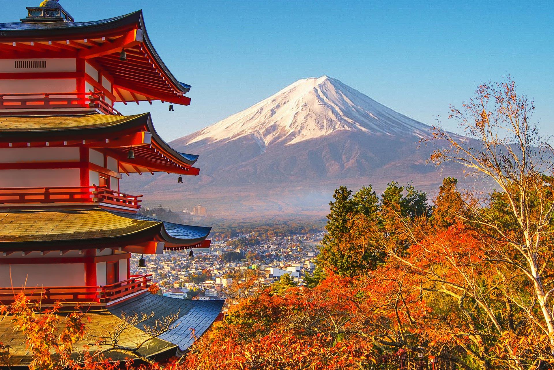 Mt Fuji day trip from Tokyo — image 17