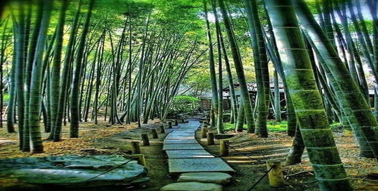 Kyoto Luxury Private Day Tour with Custom Itinerary