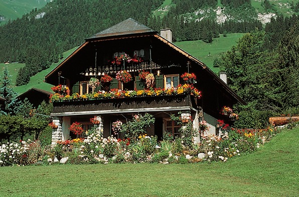 Gruyères day trip from Geneva — image 3
