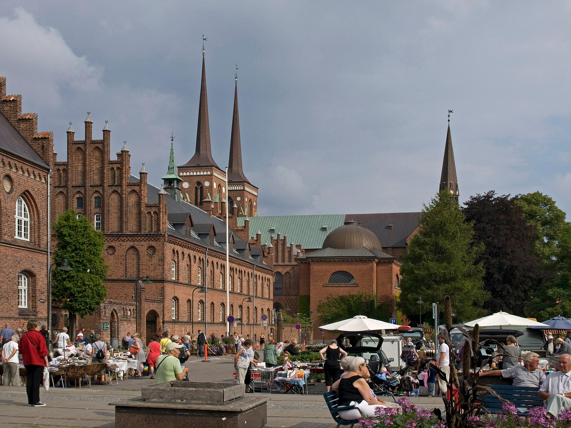 Viking Heritage & Royal Tombs: Guided Roskilde Tour