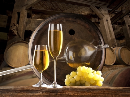 Private Etyek Wine Region Tour from Budapest