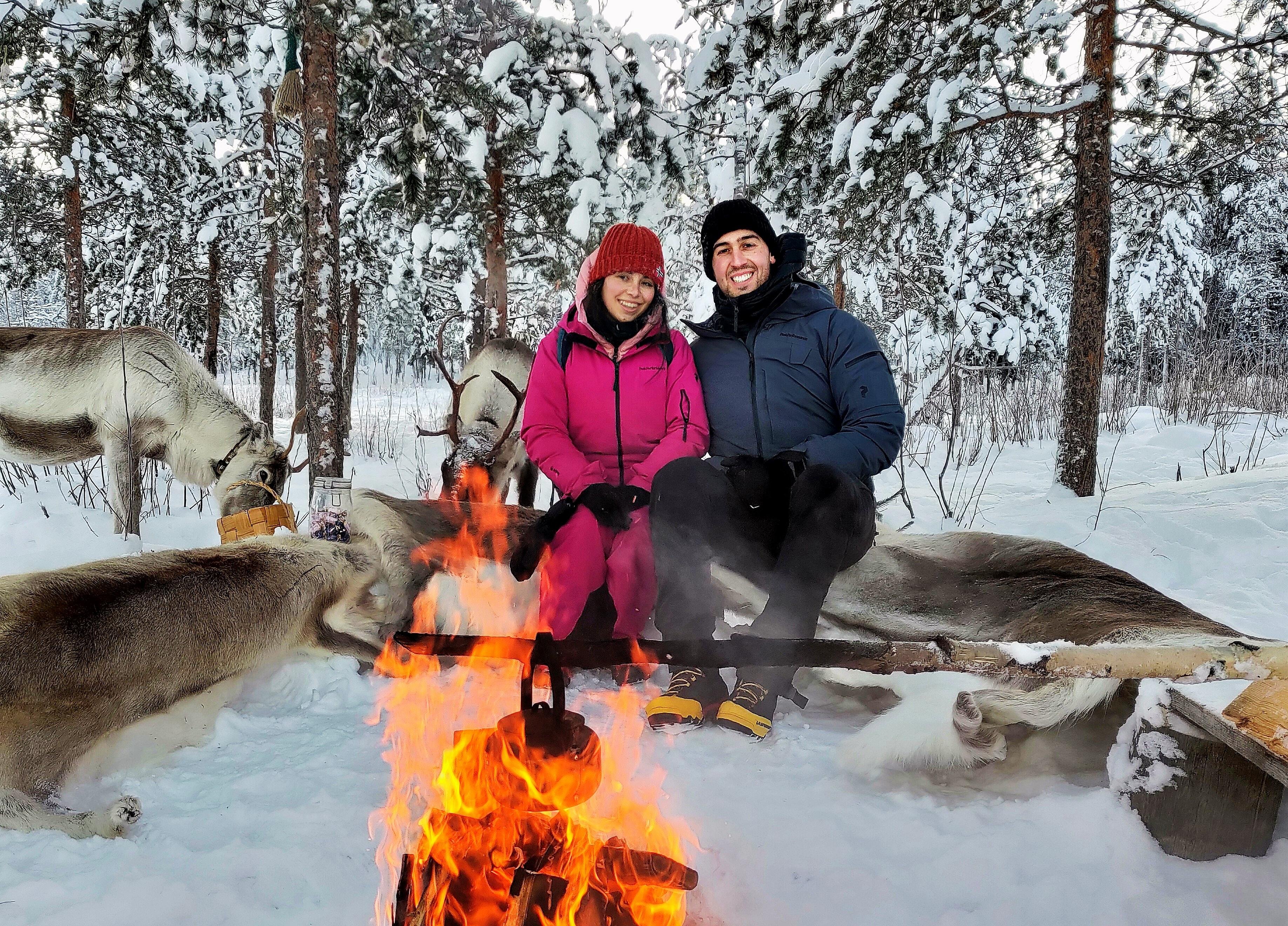 Rovaniemi Reindeer Farm: Herd Encounter & Lapland Culture