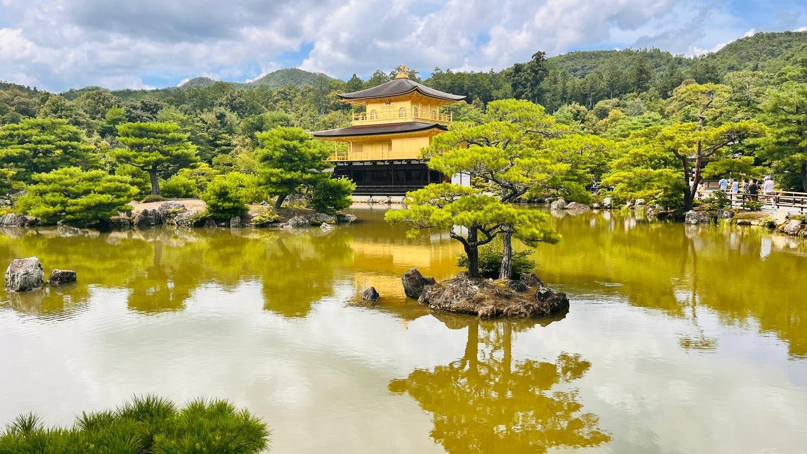 Kyoto & Nara Bespoke Private Day Tour from Osaka or Kyoto