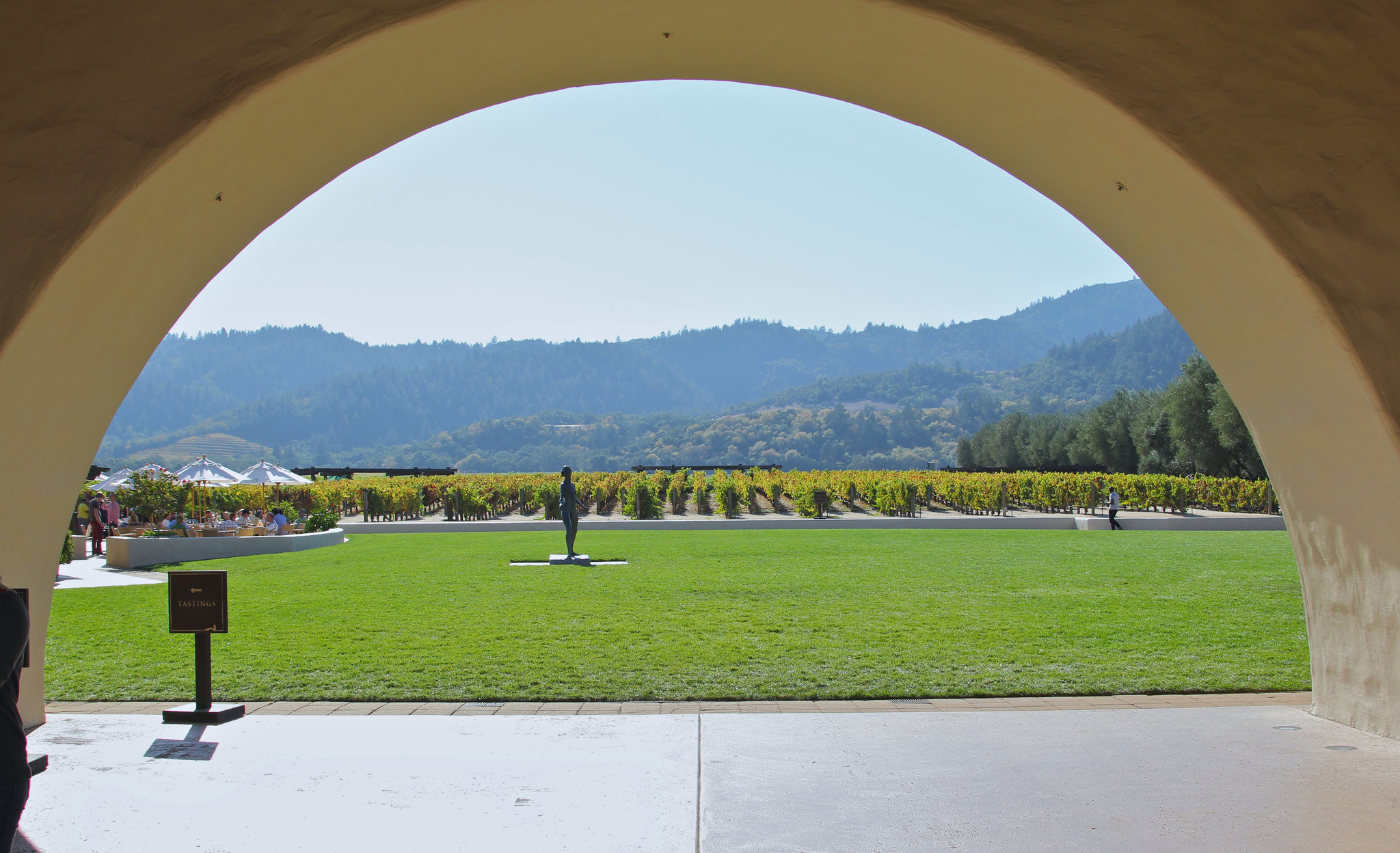 Napa Valley wine tour for couples — vineyards and tasting rooms — image 1