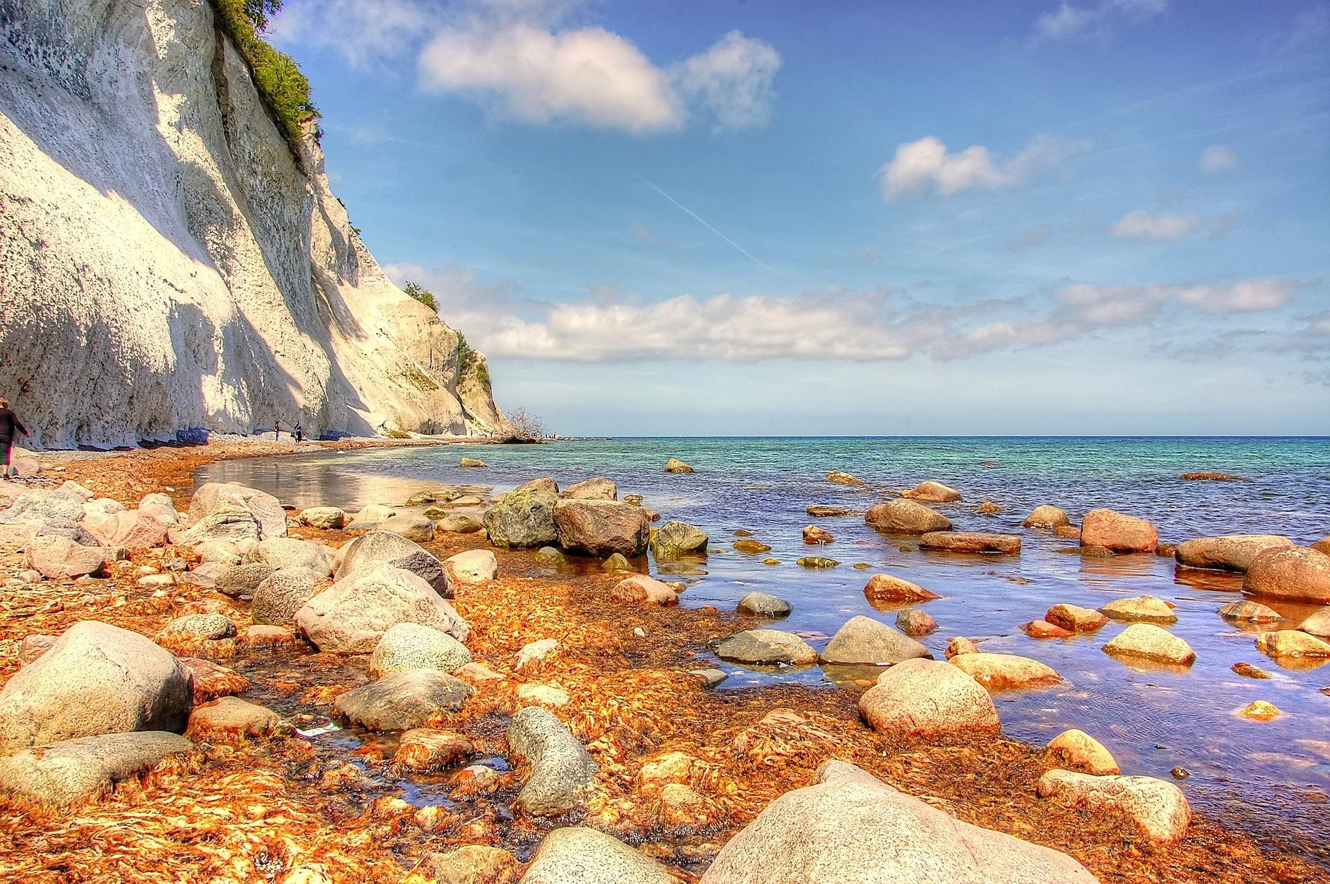Møns Klint & Forest Tower Day Trip from Copenhagen