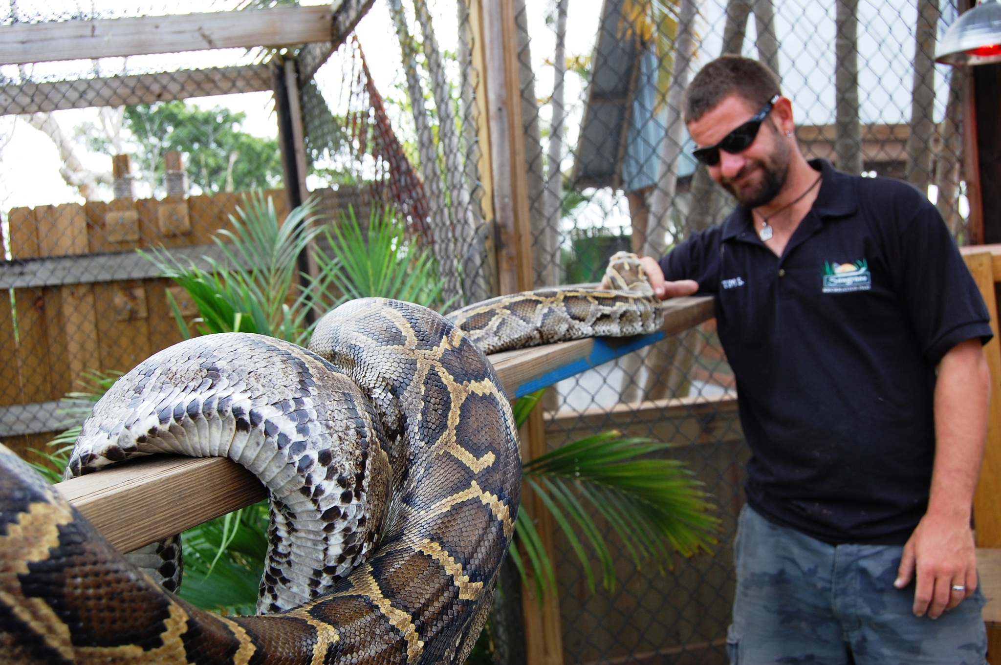 Private Everglades Airboat Tour & Reptile Experience