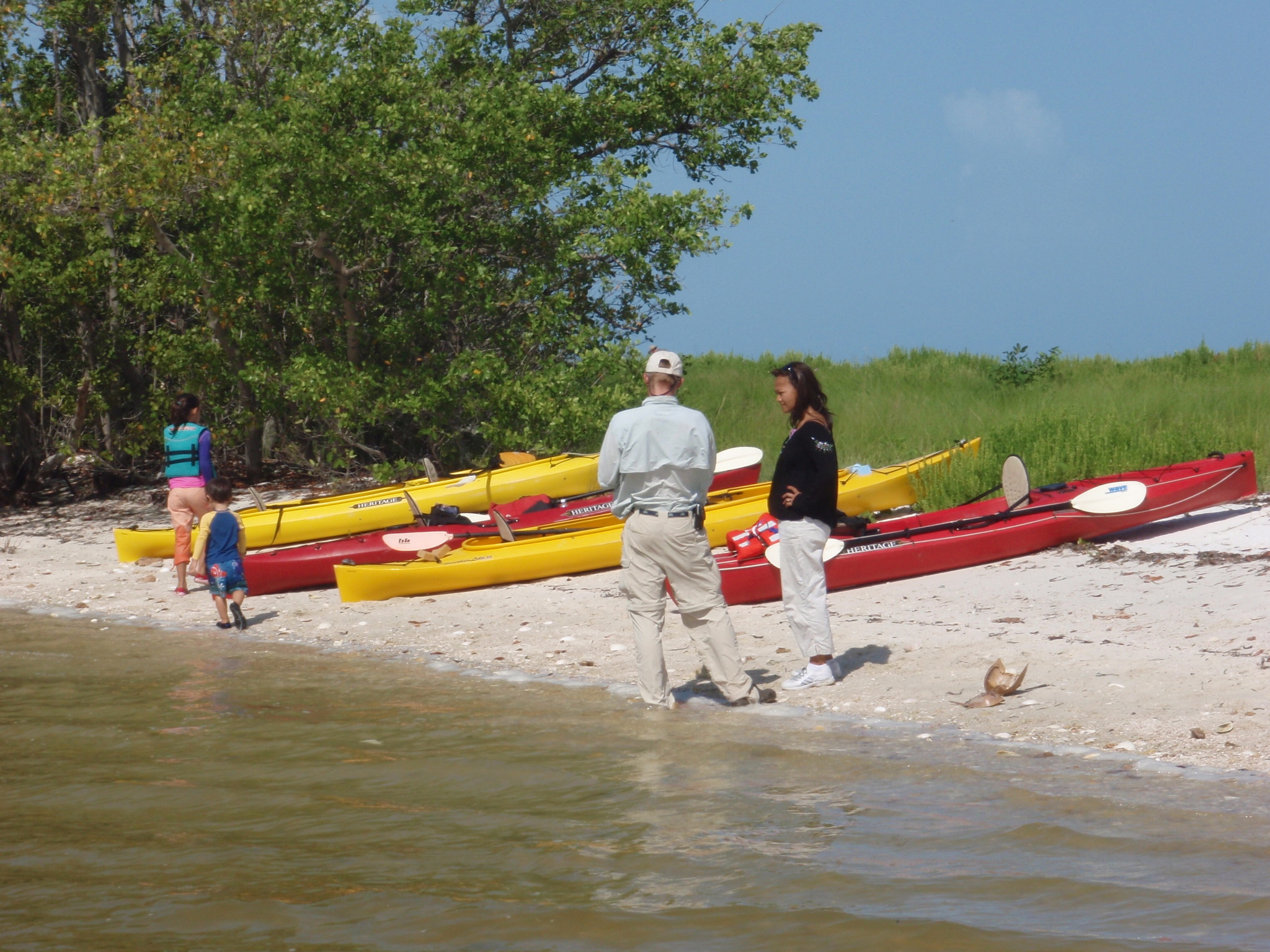 Florida Everglades Boat and Kayak Eco-Adventure
