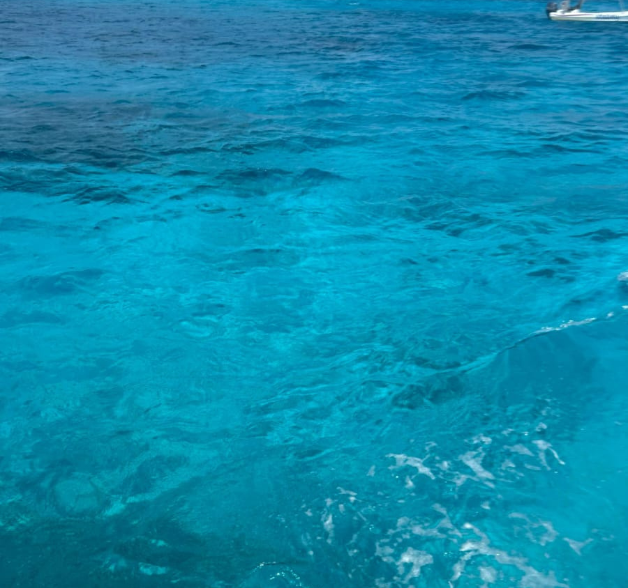 Cozumel Full-Day Adventure: Snorkeling, El Cielo Beach & Lunch