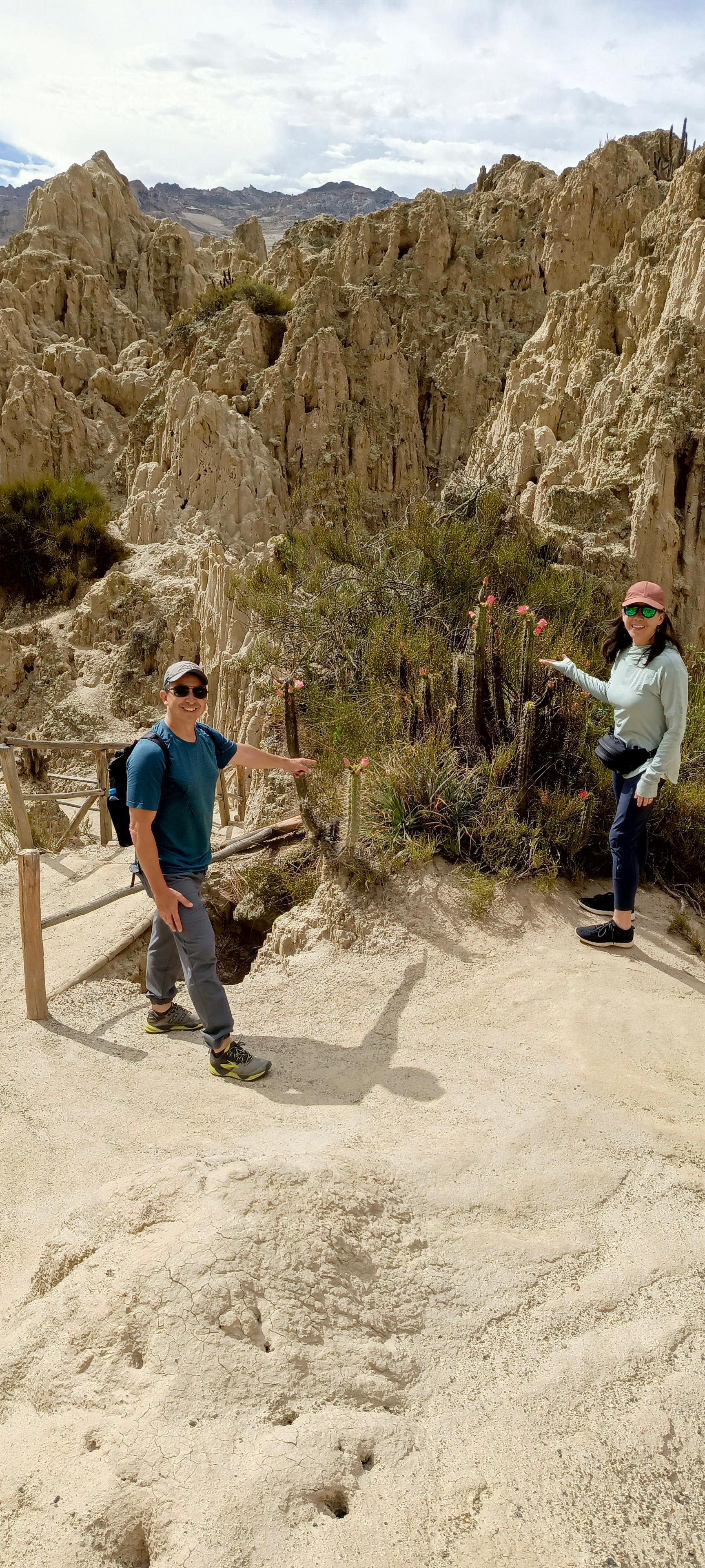 Exploration de La Paz avec téléphérique et Vallée de la Lune
