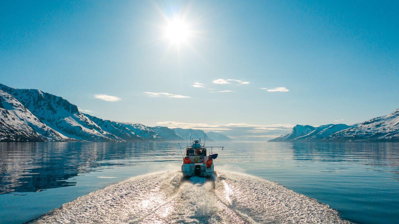 Alta Fjord Wildlife & History Cruise