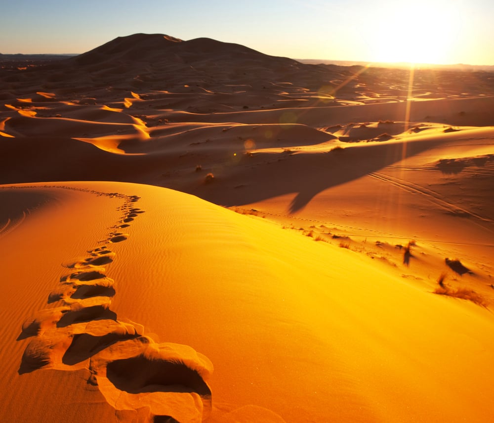 Erg Chebbi Overnight Camel Trek from Merzouga