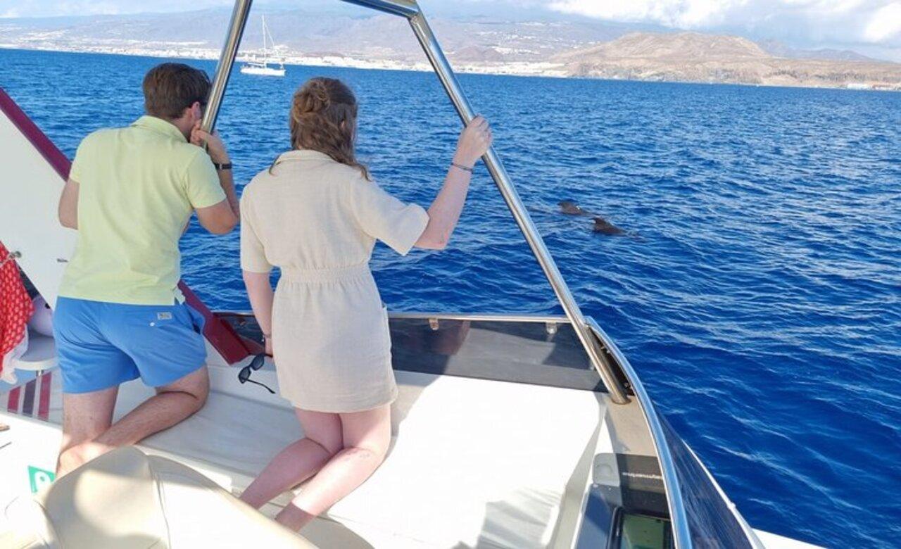Tenerife Eco-Yacht Whale & Dolphin Watching Cruise