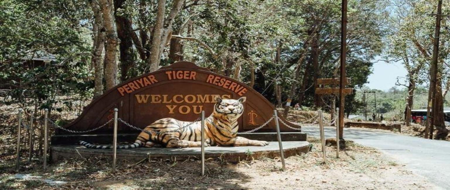 5-Day Kerala Escape: Munnar, Thekkady & Alleppey