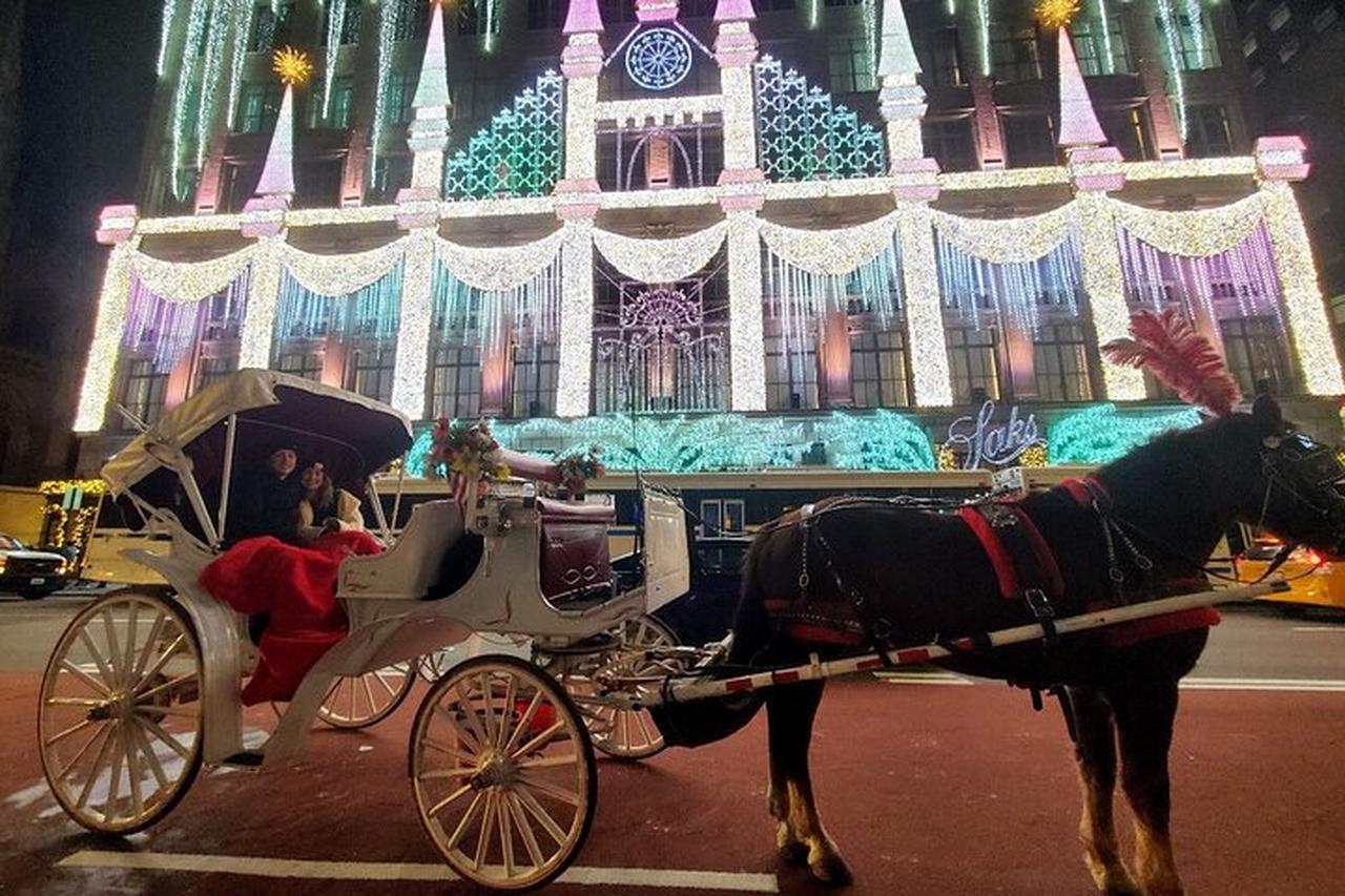Private Christmas Lights Horse Carriage Ride in NYC