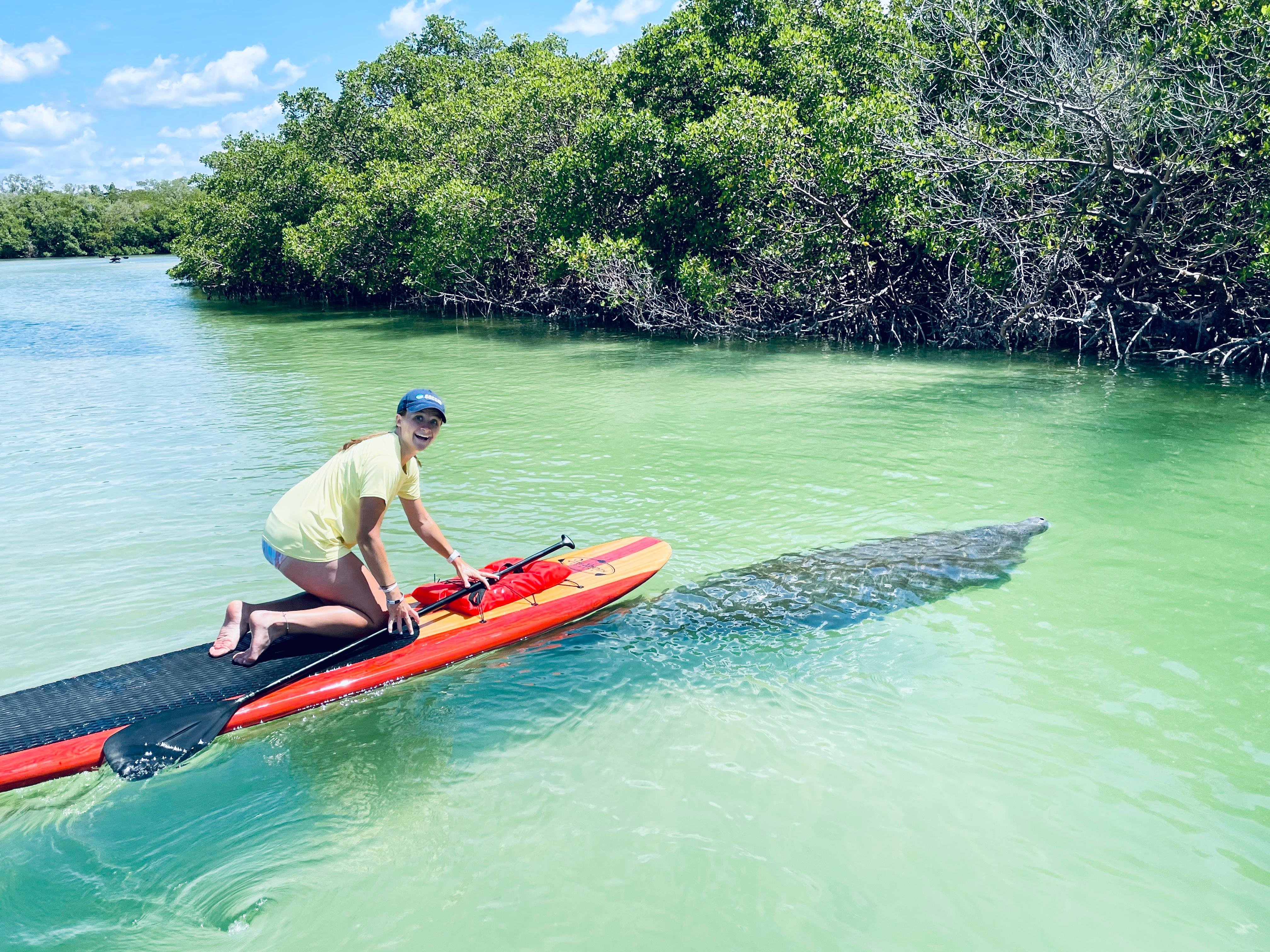 Fort Myers Dolphin & Manatee Kayak Tour