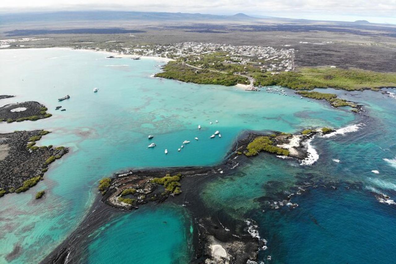Isabela Island & Tintorera Islet Expedition from Puerto Ayora