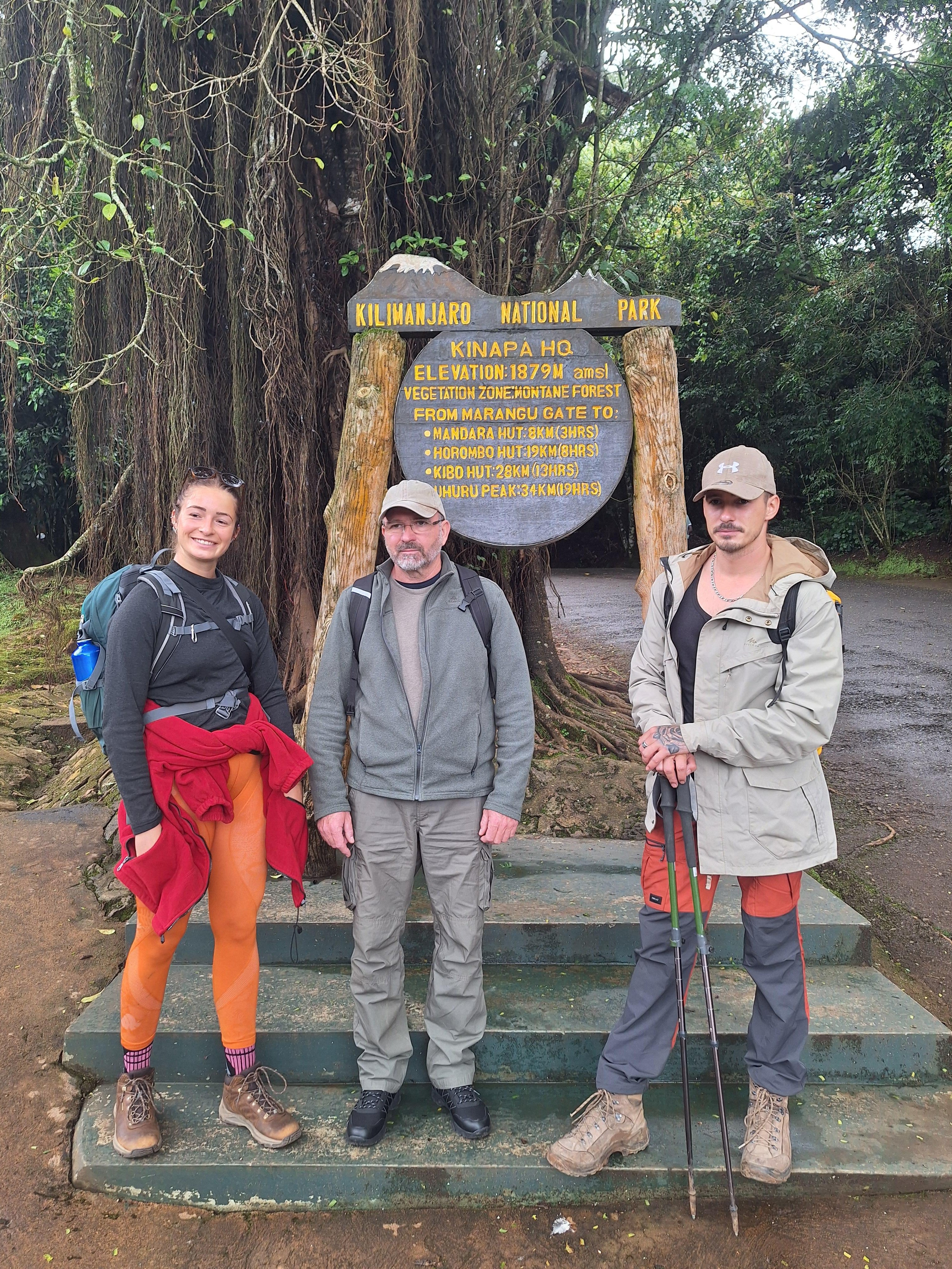 Kilimanjaro Day Hike to Mandara Hut