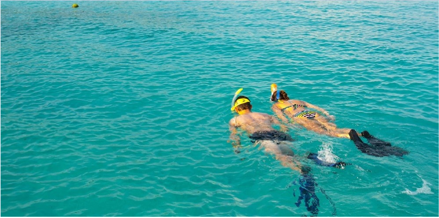Playa del Carmen Local Reef Snorkel Adventure